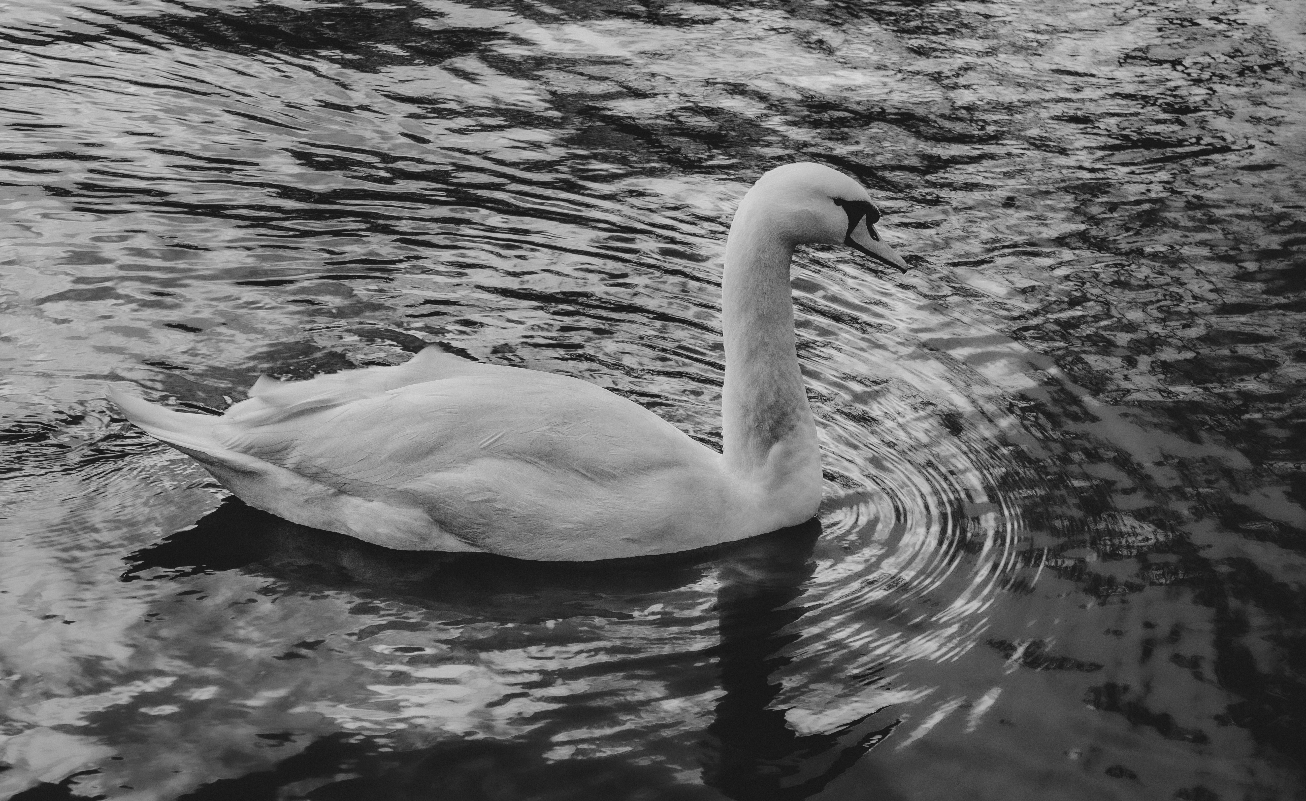 Photo by sam_badmaeva