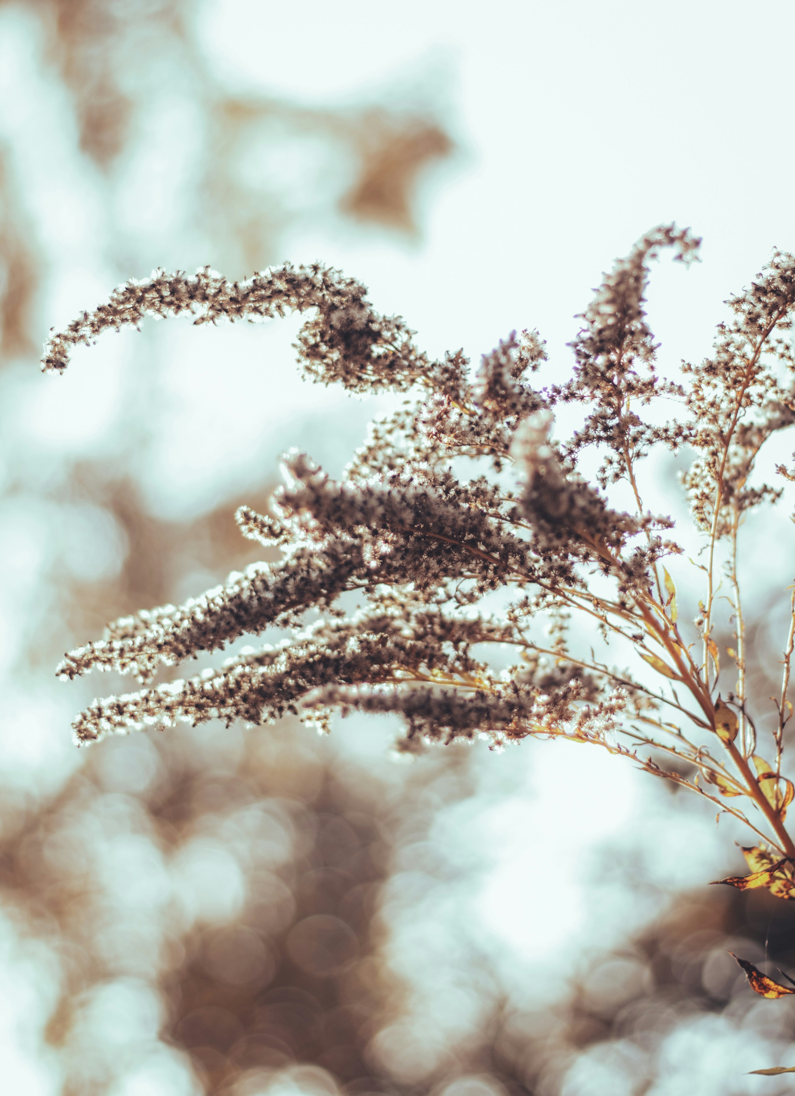 Photo by earthfulmoments