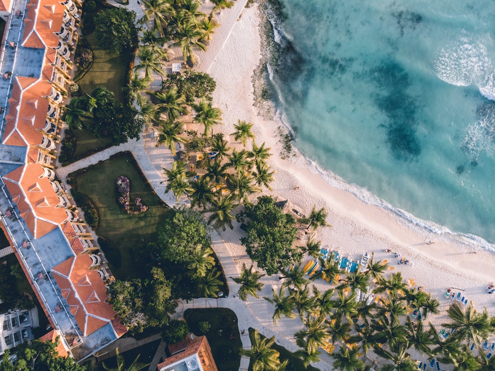 an aerial view of a beach and a resort