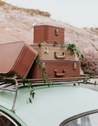 A vintage car with a mint green roof has several old-style suitcases stacked on its roof rack. Green leaves and vines are draped over the luggage, adding a touch of nature to the scene. The background features a blurred rocky landscape.