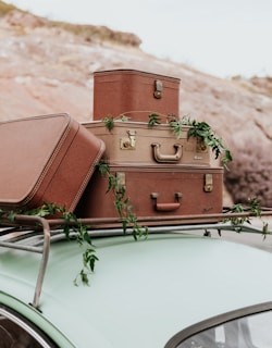 A vintage car with a mint green roof has several old-style suitcases stacked on its roof rack. Green leaves and vines are draped over the luggage, adding a touch of nature to the scene. The background features a blurred rocky landscape.