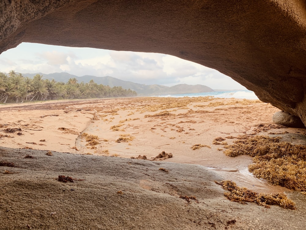 a view of a beach through a cave