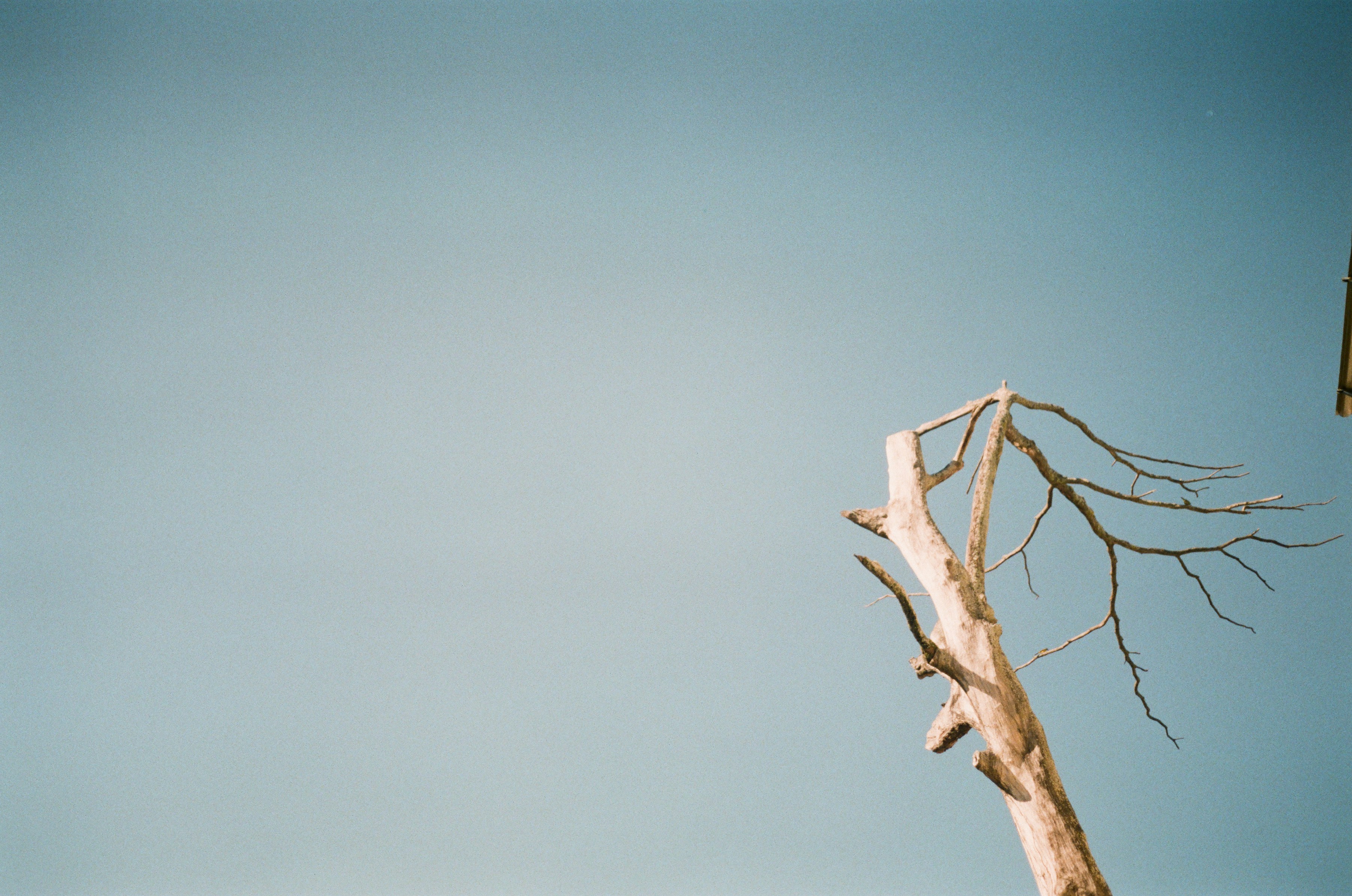 Photo by hello_kseniia