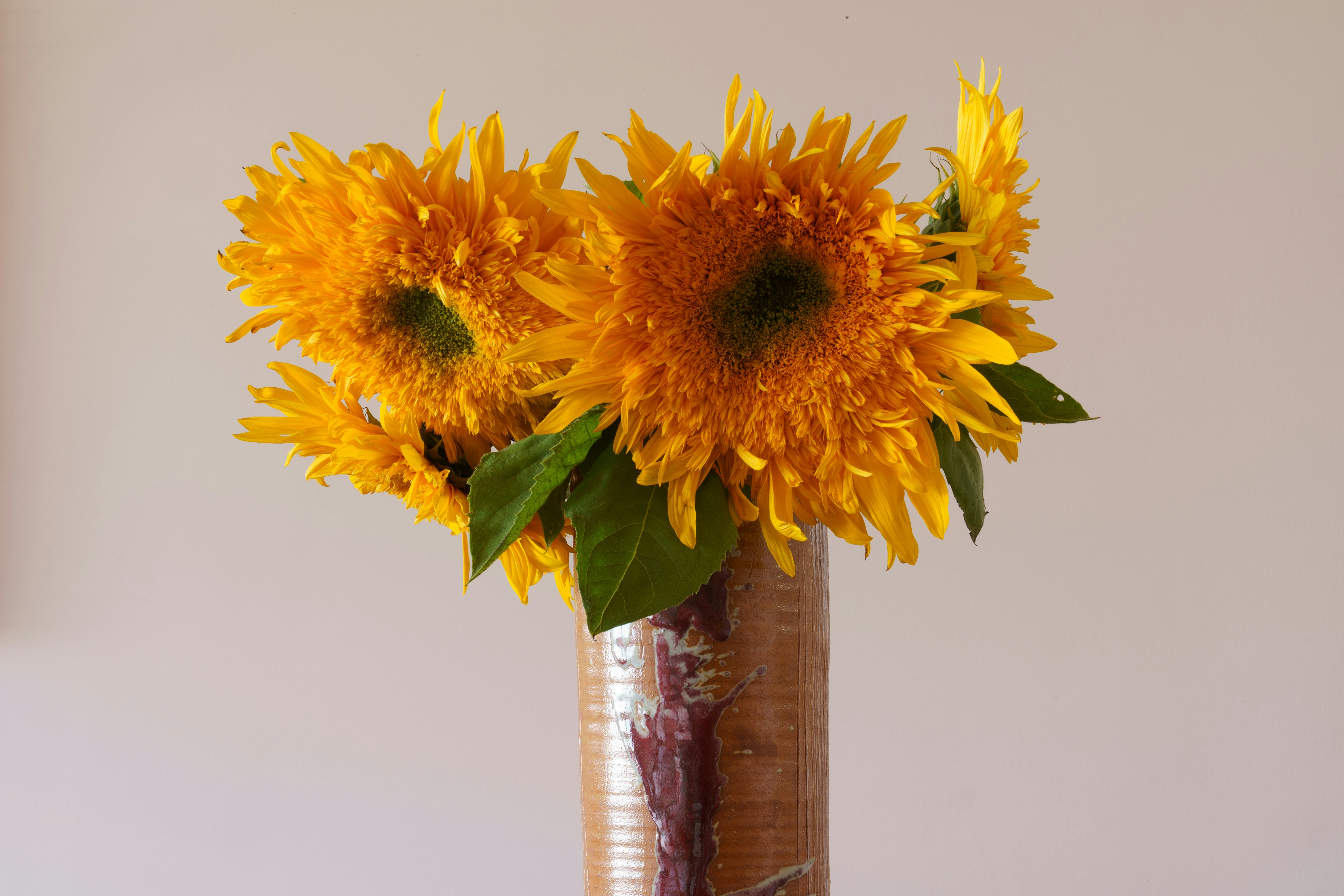 Photo by earl_plannerzone