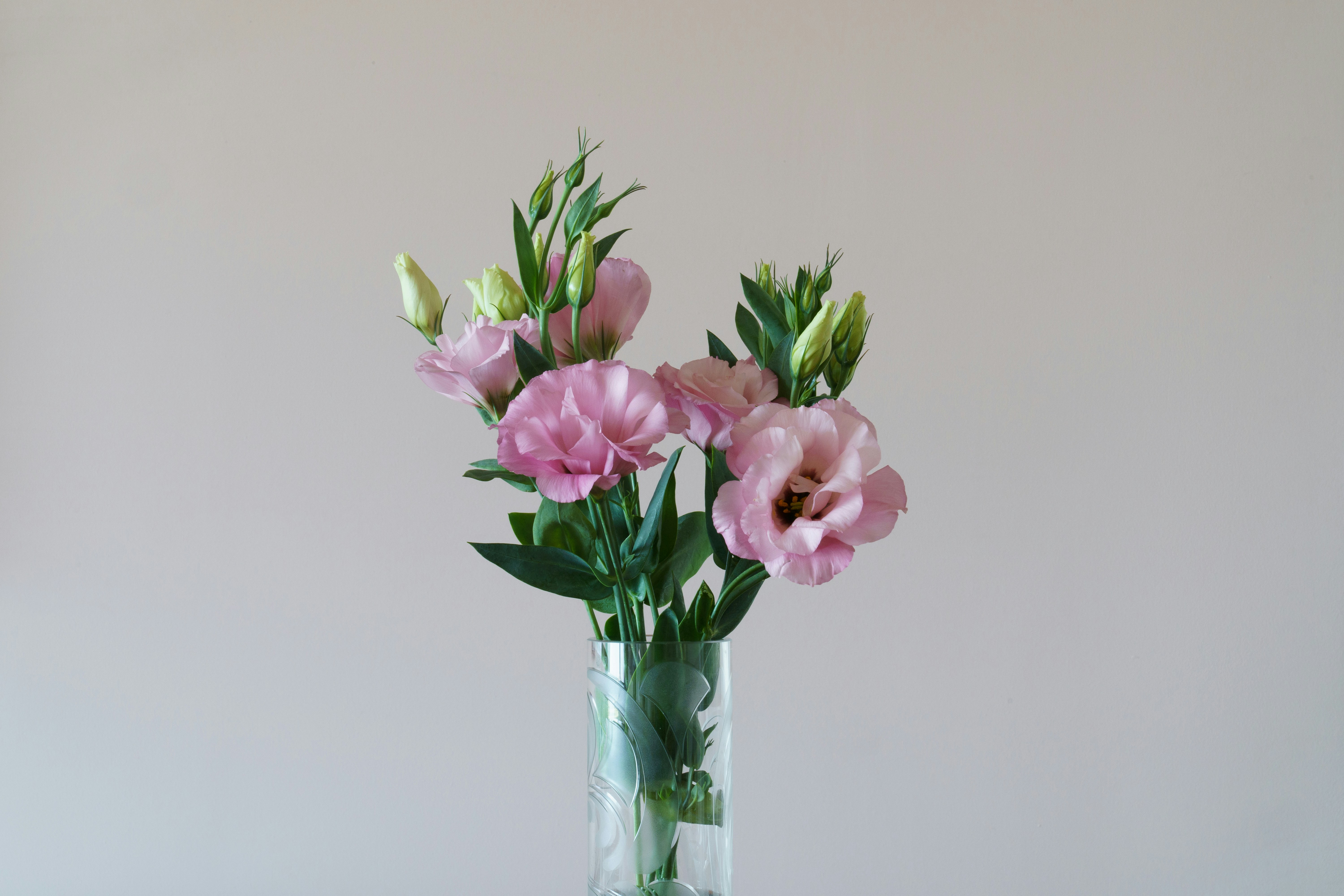 Photo by earl_plannerzone