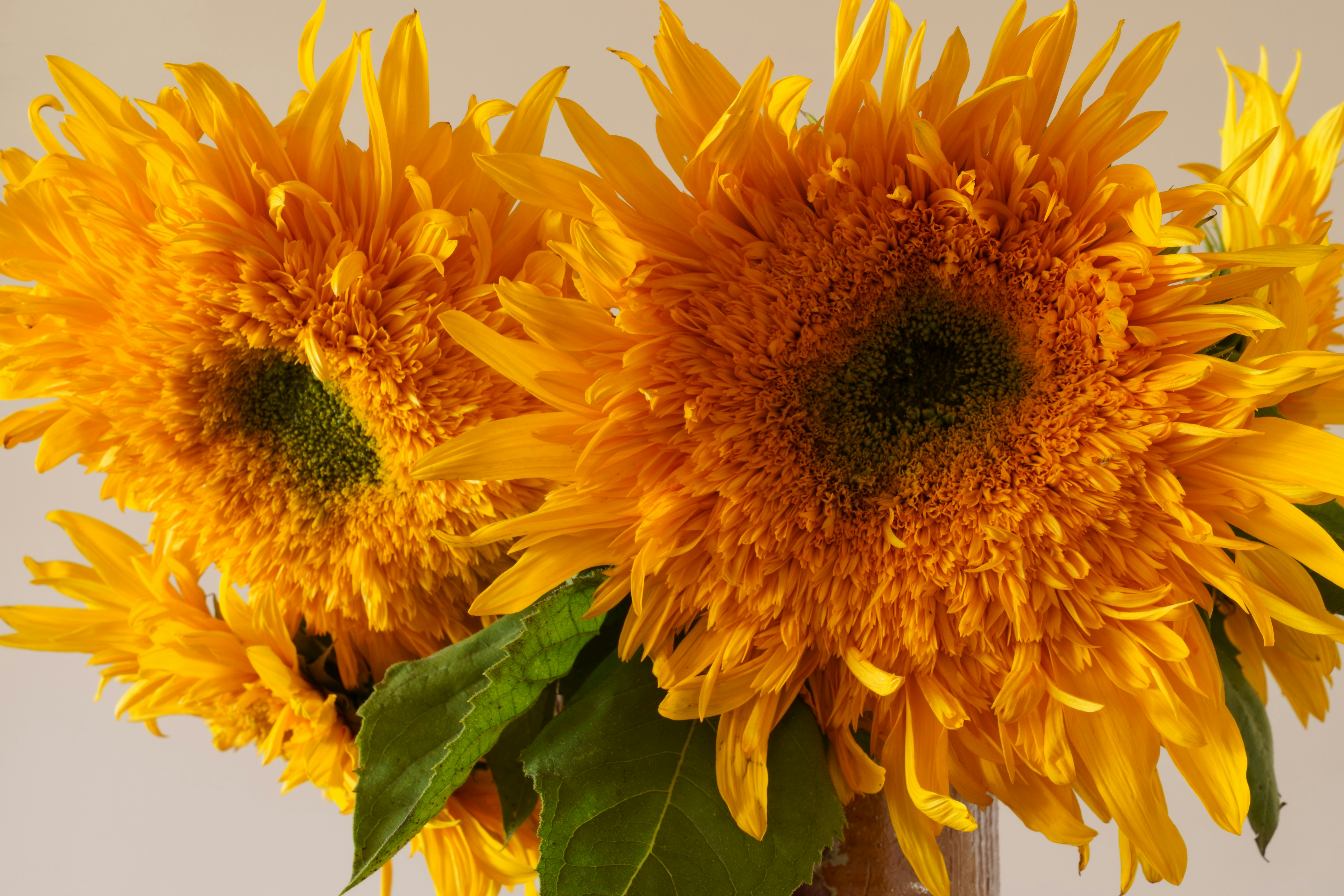 Photo by earl_plannerzone