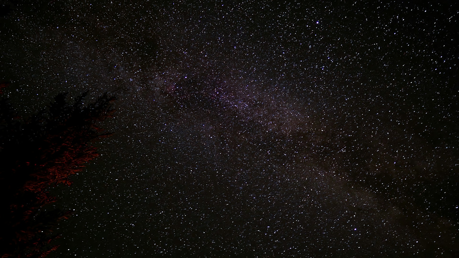 the night sky is filled with stars and trees