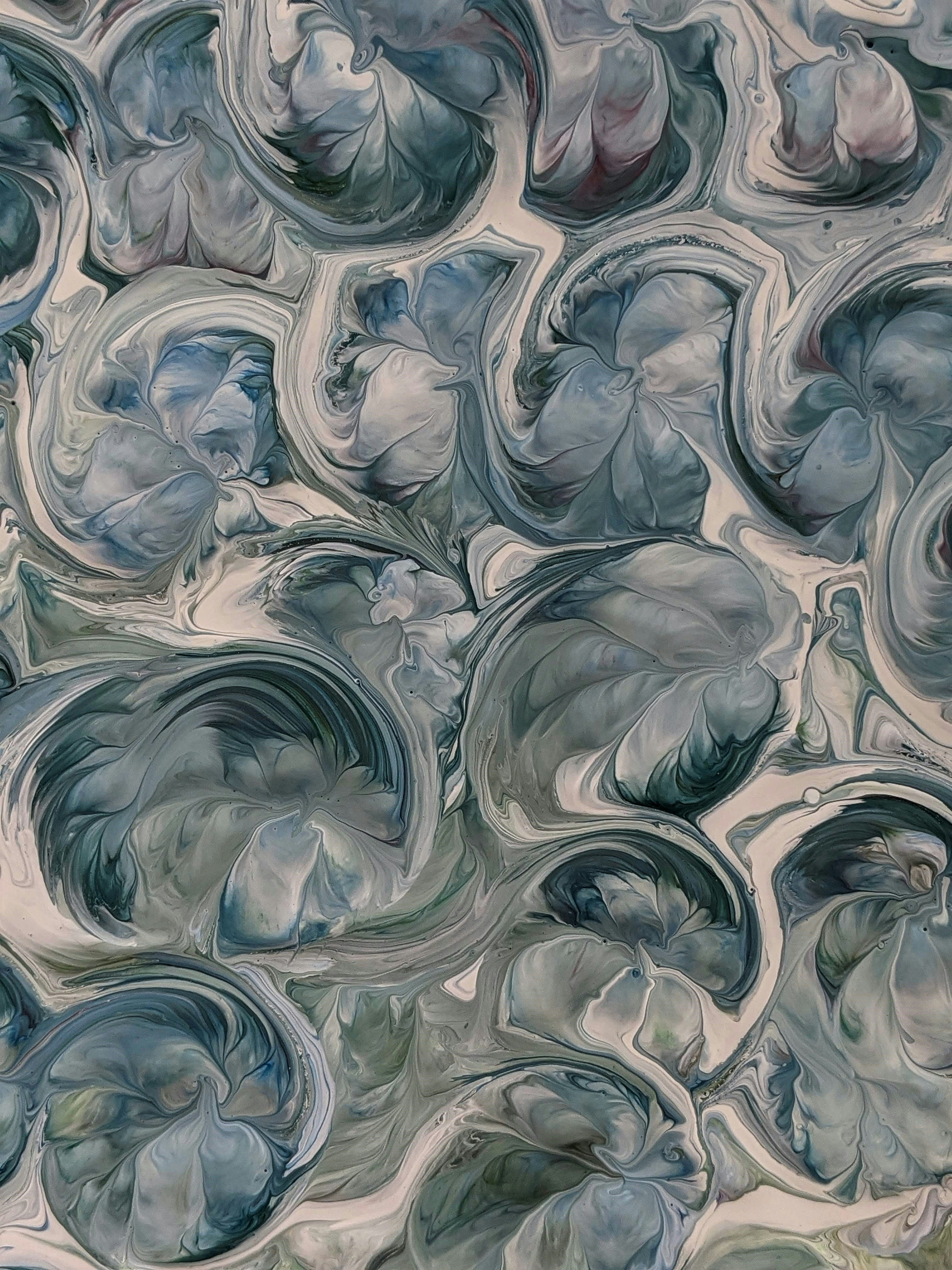 Photo by susan_wilkinson