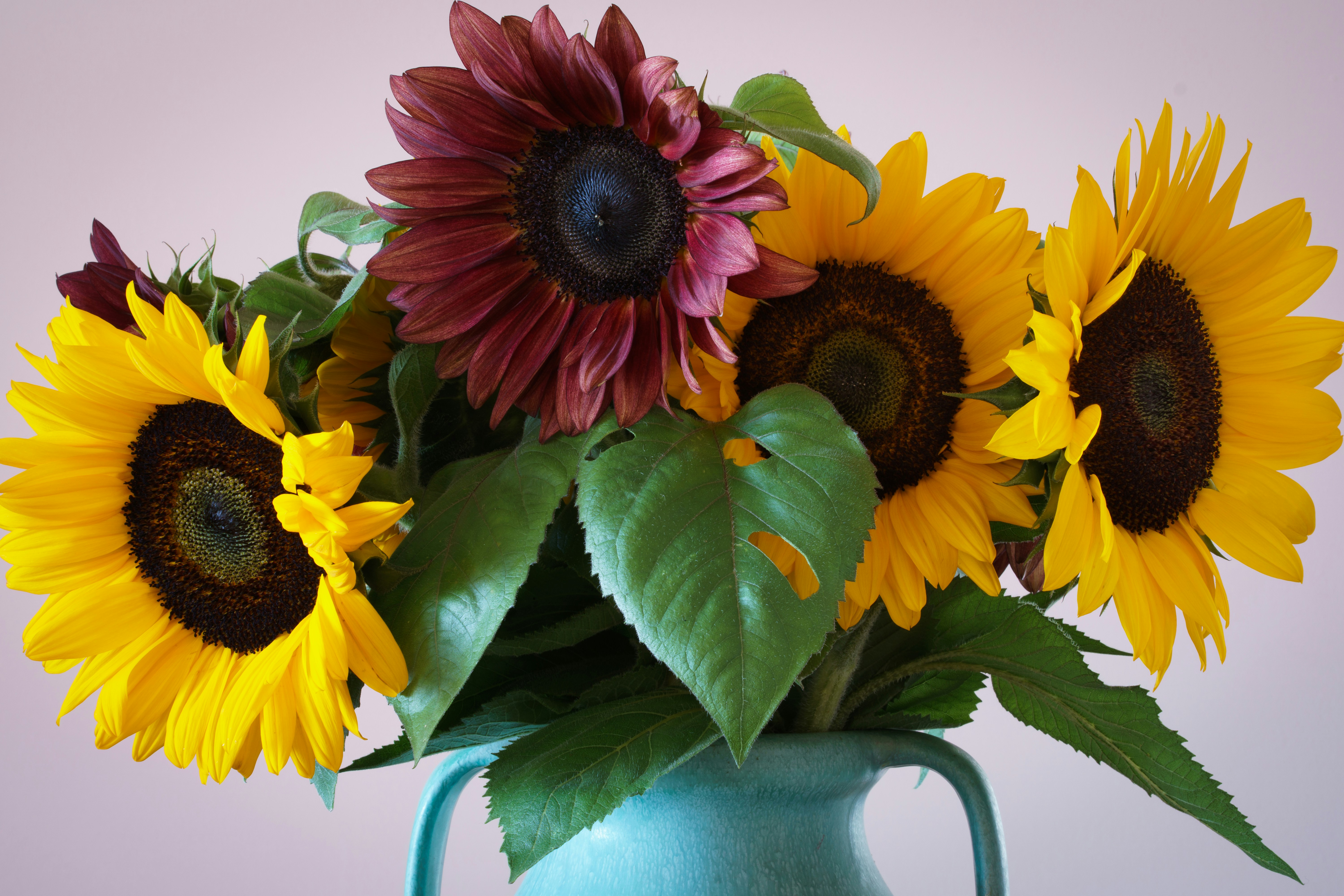 Photo by earl_plannerzone