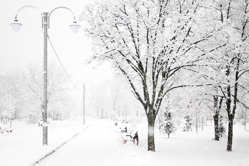 a snowy park with benches and street lamps