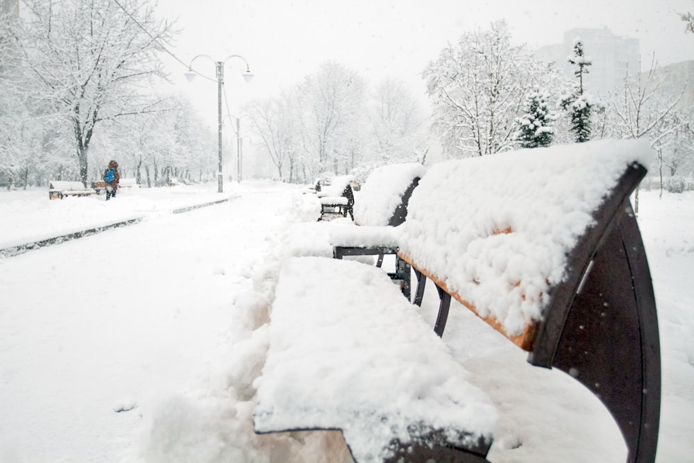 a row of benches covered in snow on a snowy day