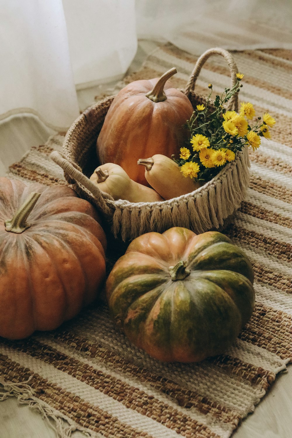 a basket filled with lots of different types of pumpkins