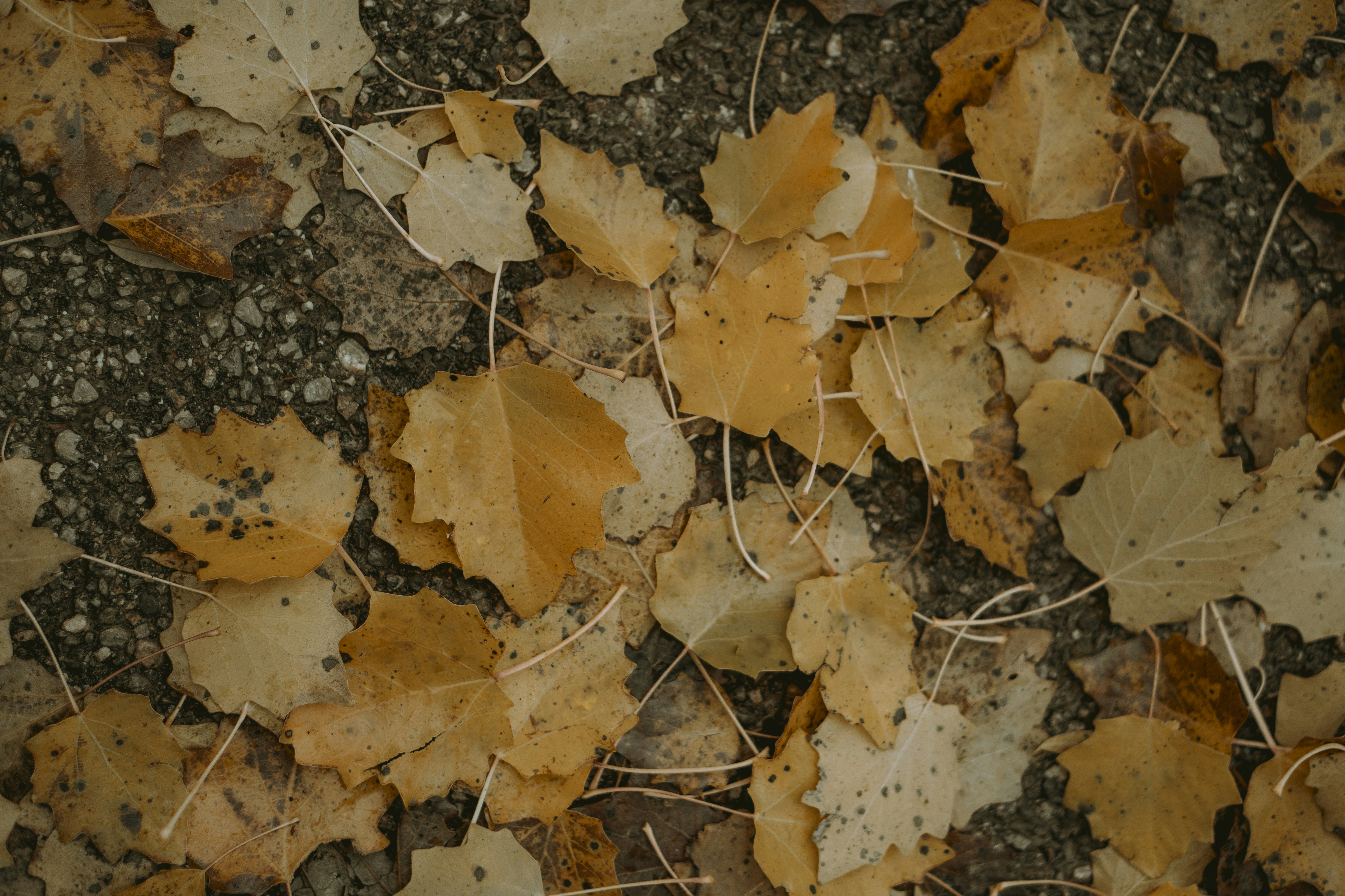 Photo by alikarimibn