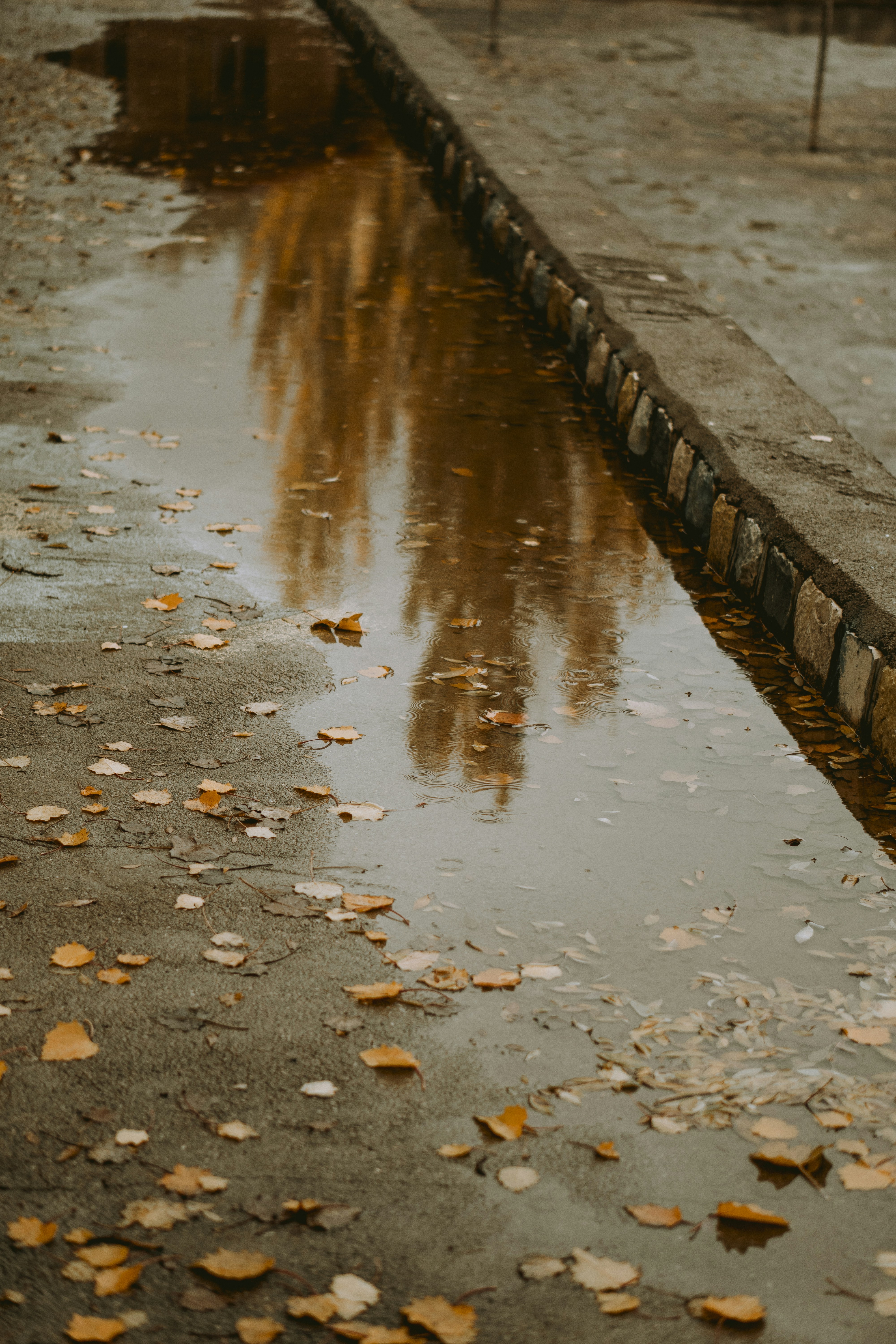 Photo by alikarimibn