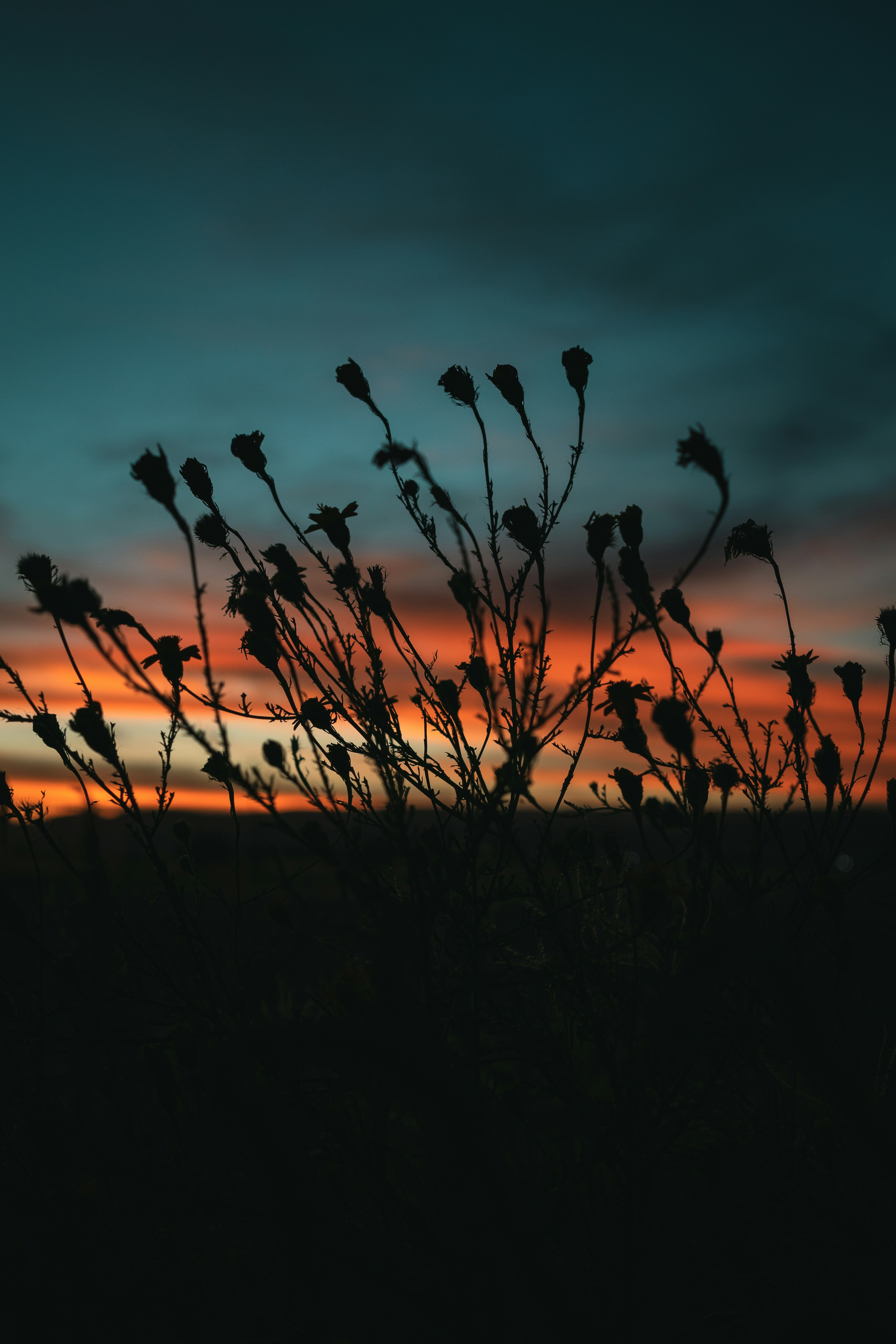 Photo by alex_quezada