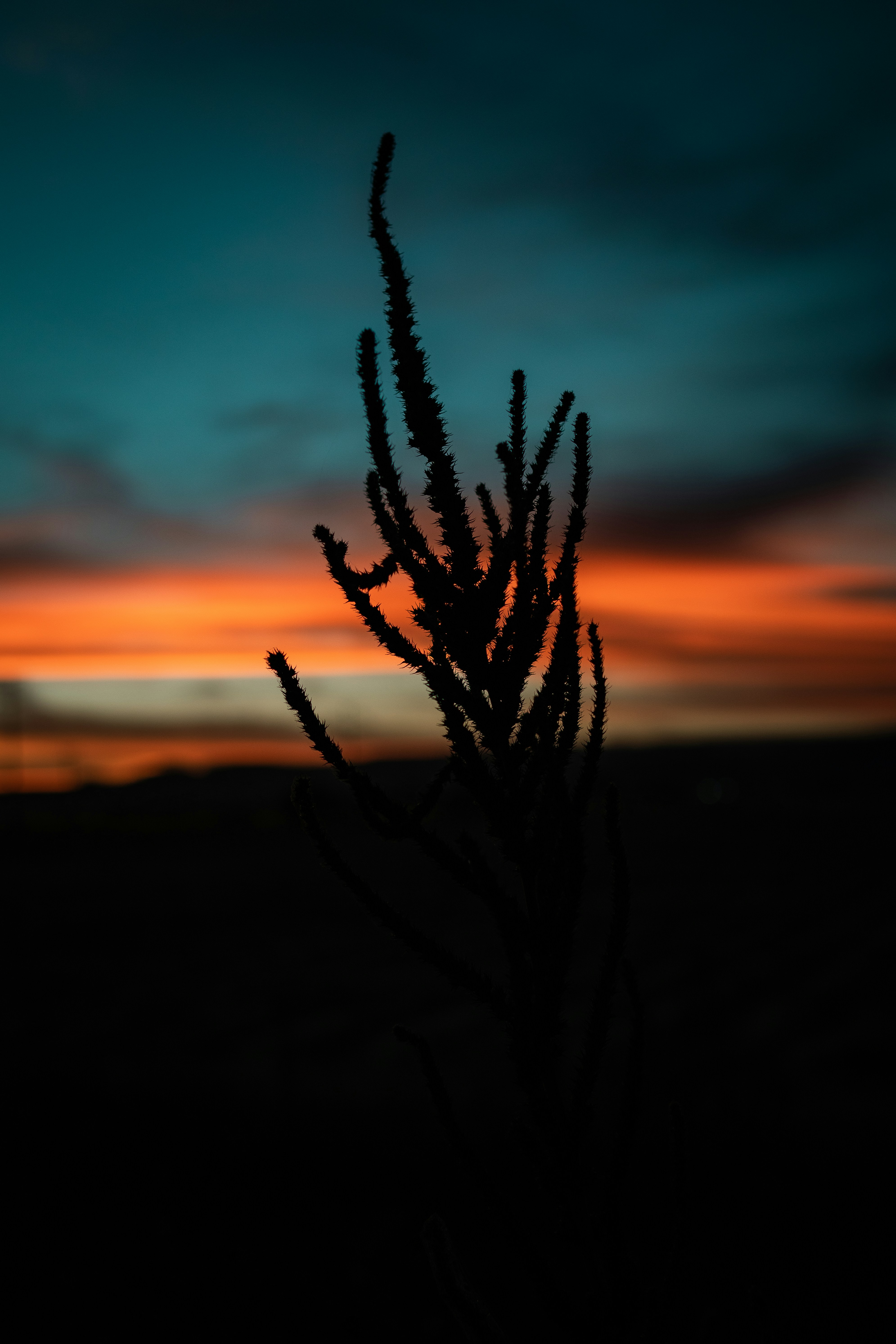 Photo by alex_quezada