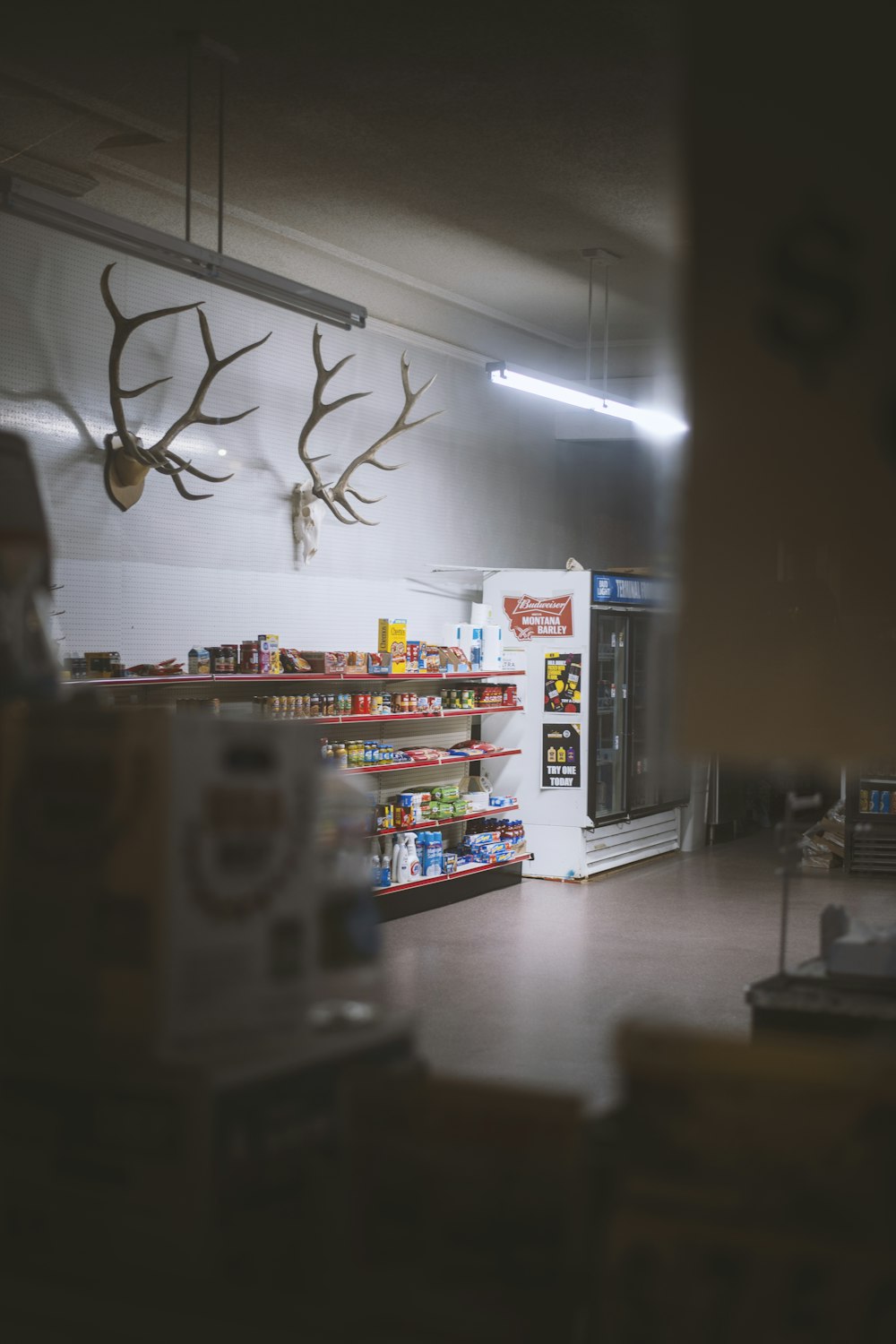 a store with deer heads hanging from the ceiling