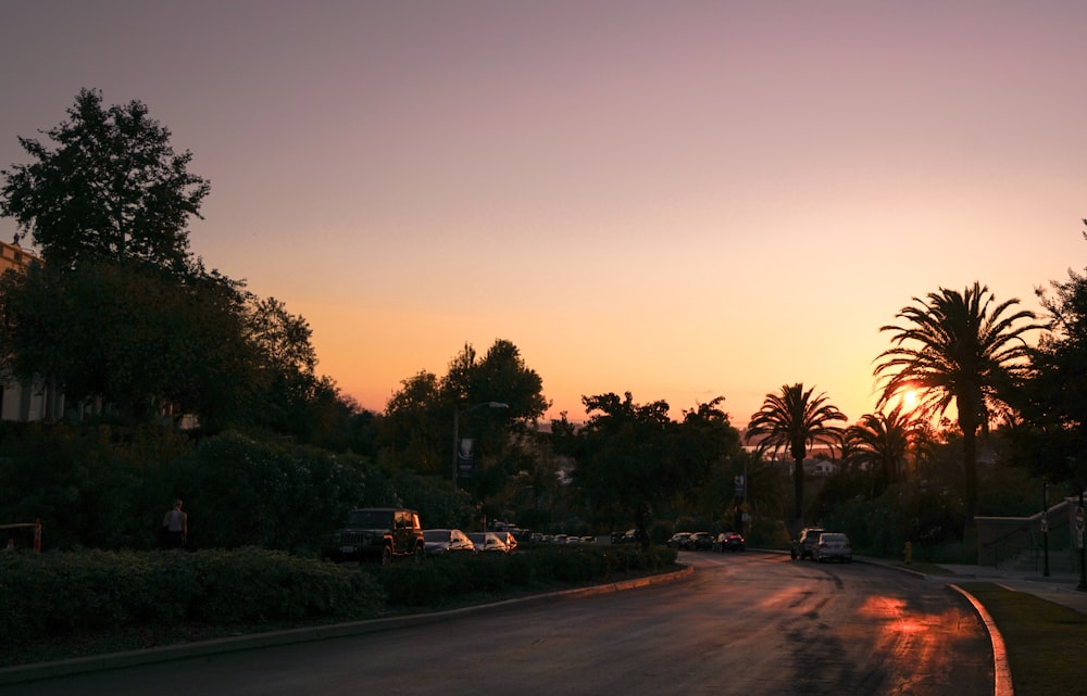 the sun is setting over a street lined with palm trees