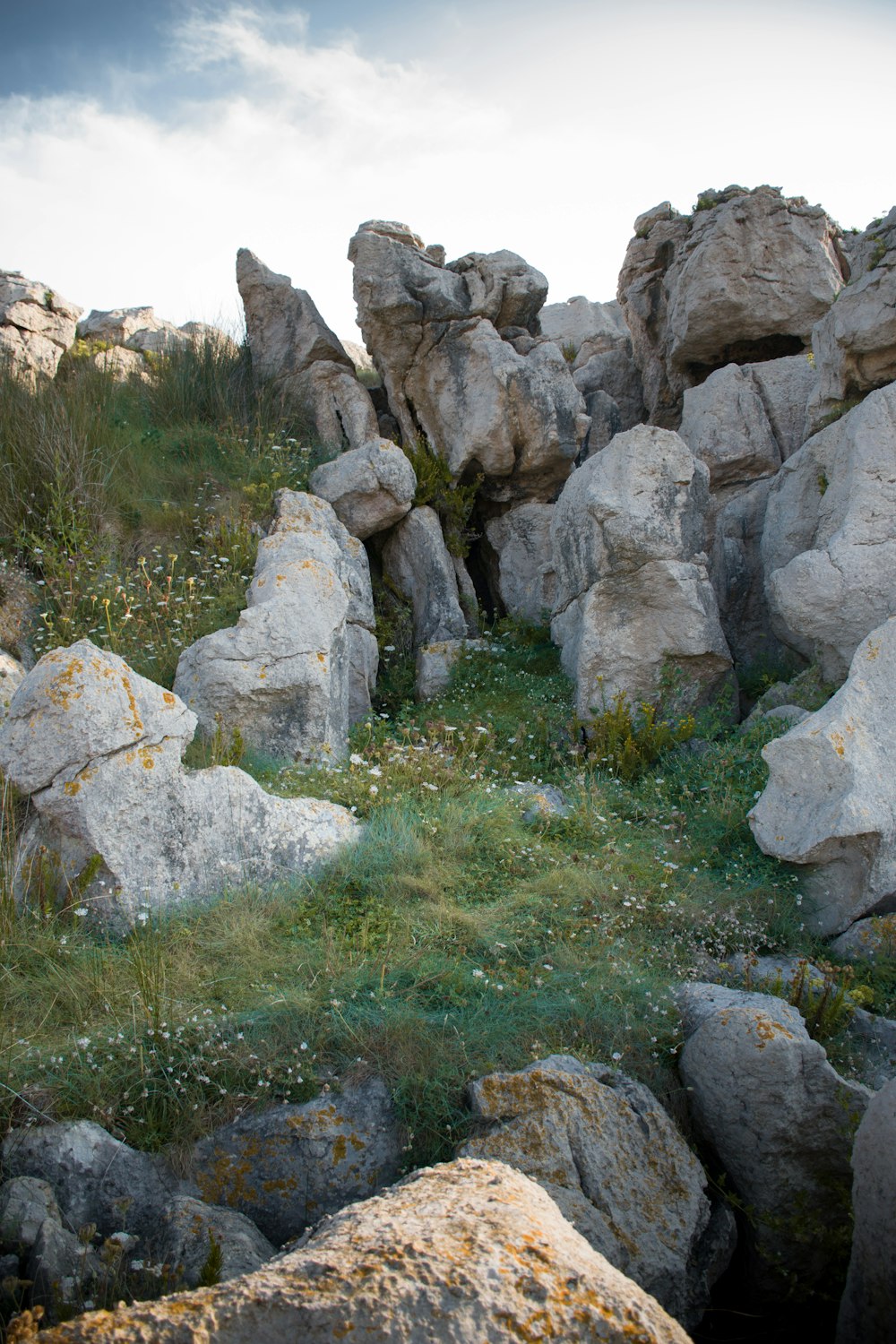 a bunch of rocks that are in the grass