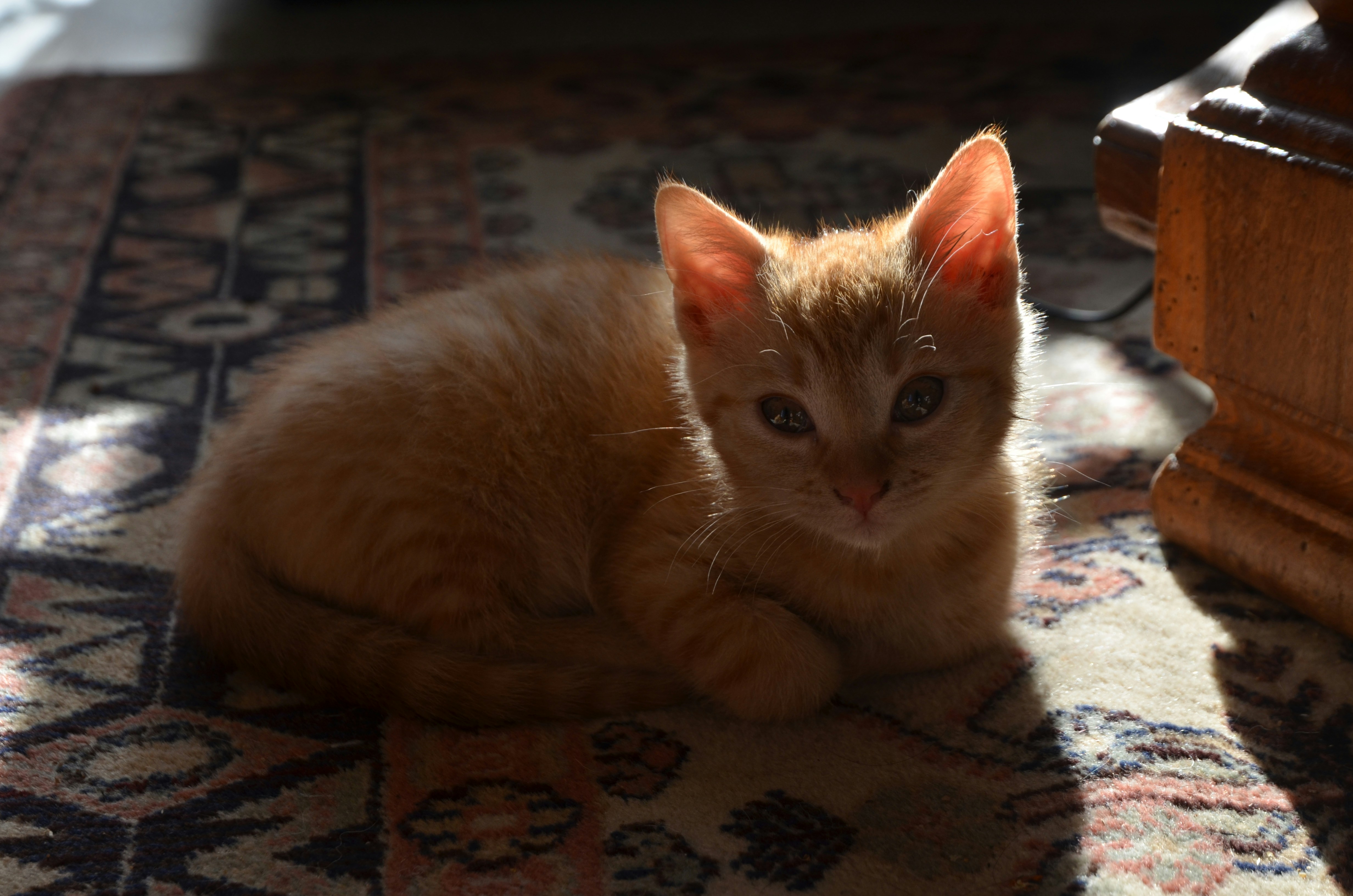 Photo by ashwinward18