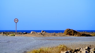 A peaceful coastal road with a clear speed limit sign against a bright blue sky.