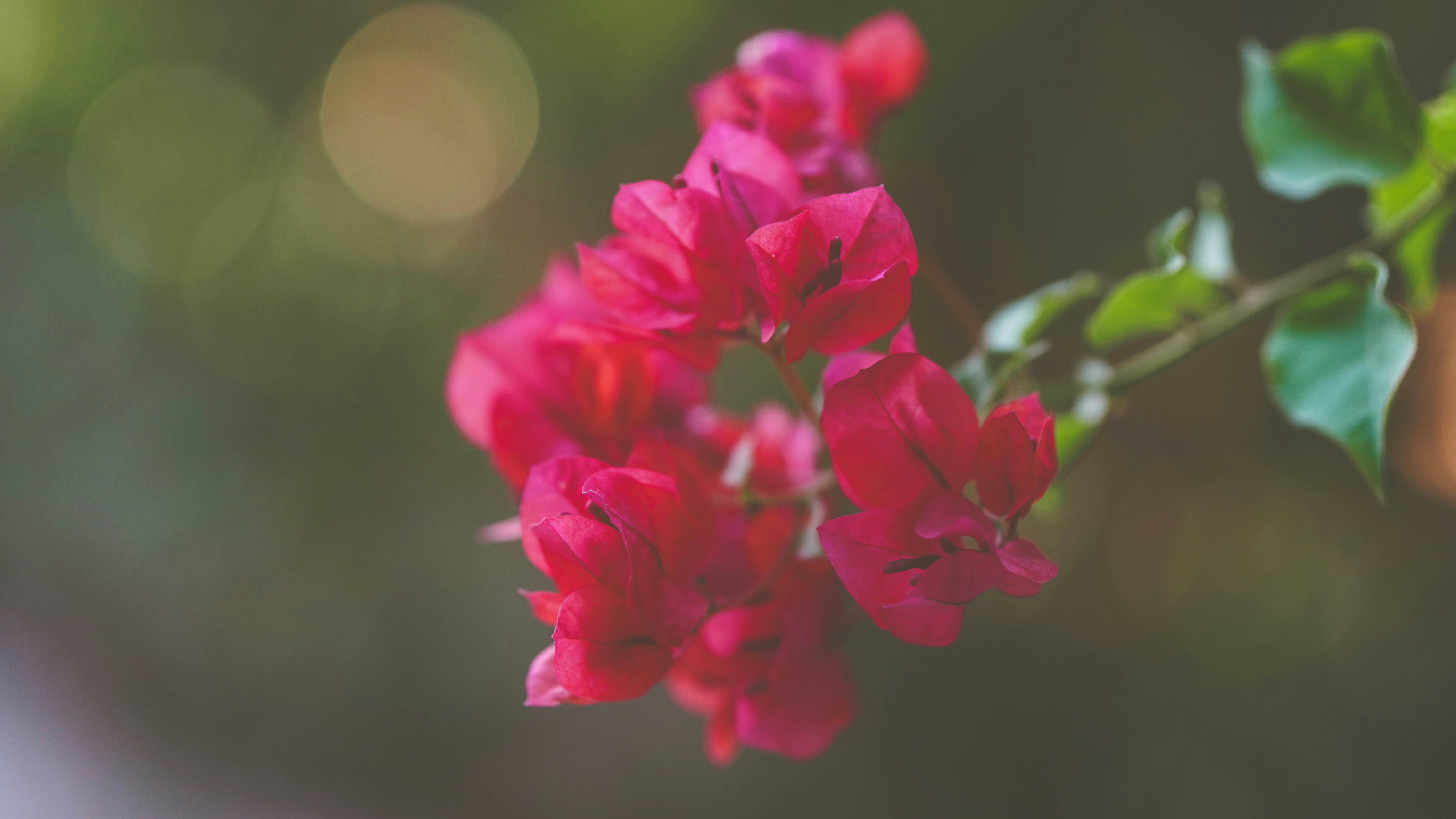 Photo by thabetstudio