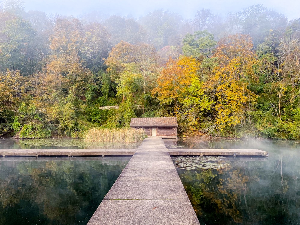 a dock in the middle of a lake surrounded by trees