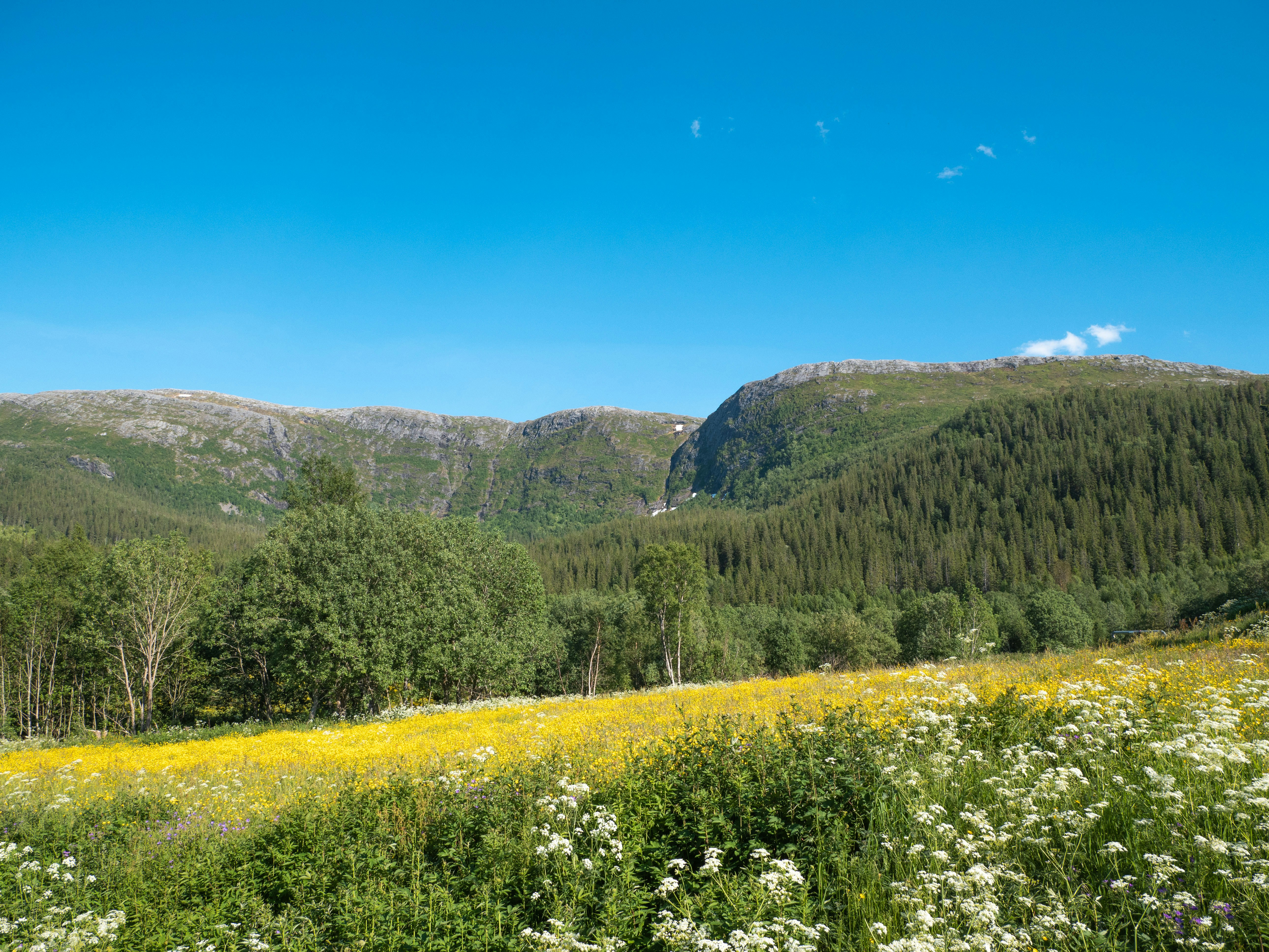 Photo by robinmikalsen