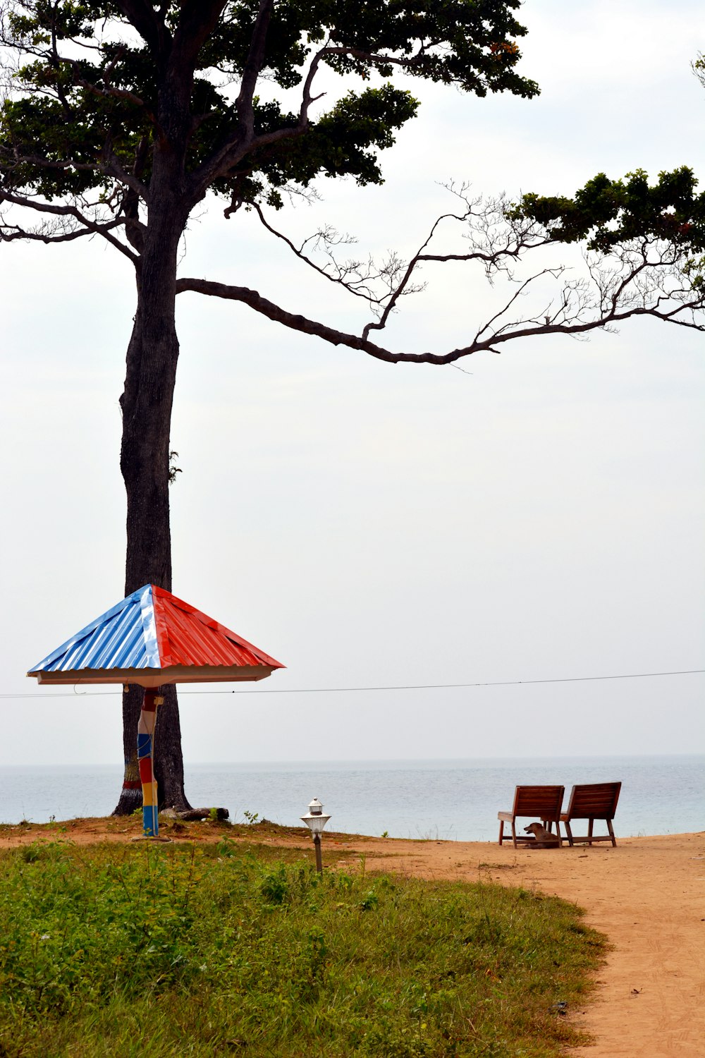 a couple of chairs under a umbrella on a beach