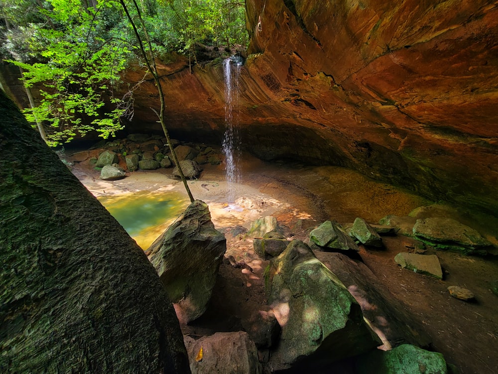 a small waterfall in the middle of a forest