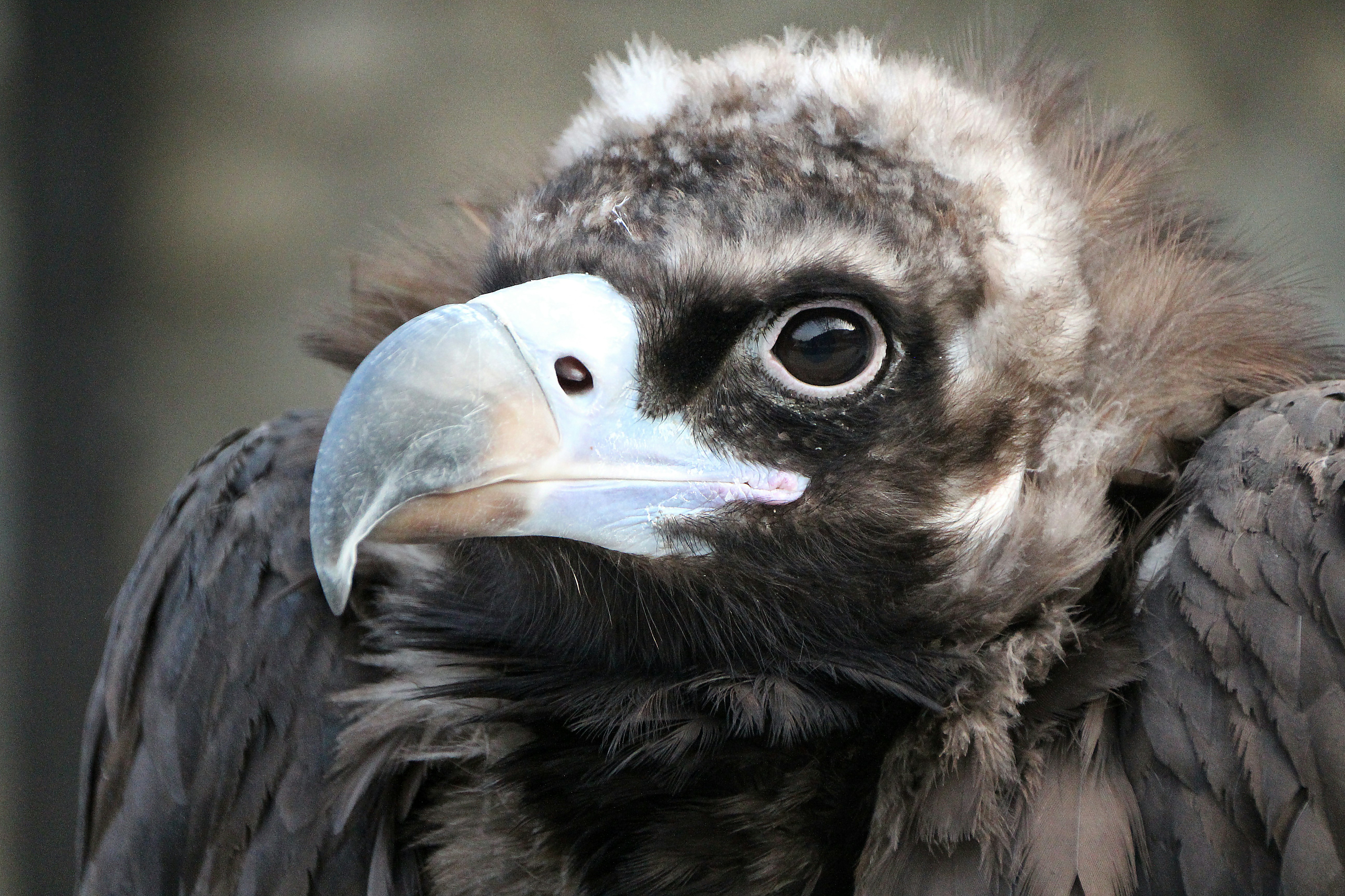 Photo by colemarshall