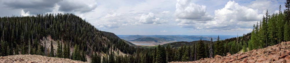 a scenic view of a mountain range with pine trees