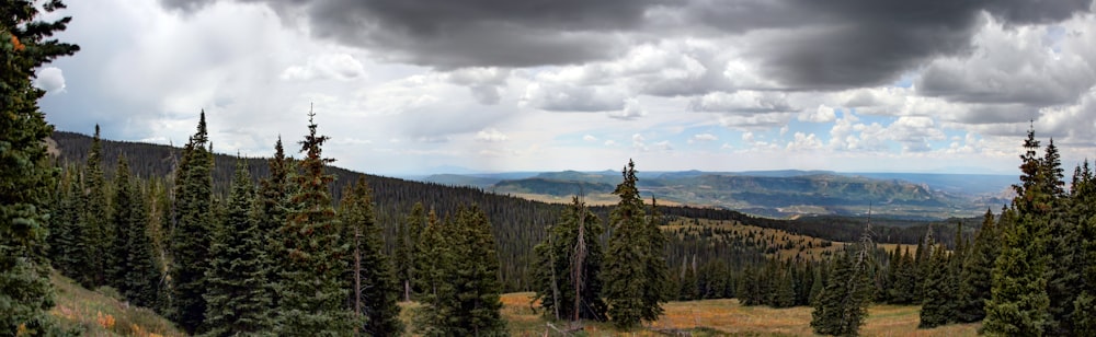 a scenic view of a forest with mountains in the distance