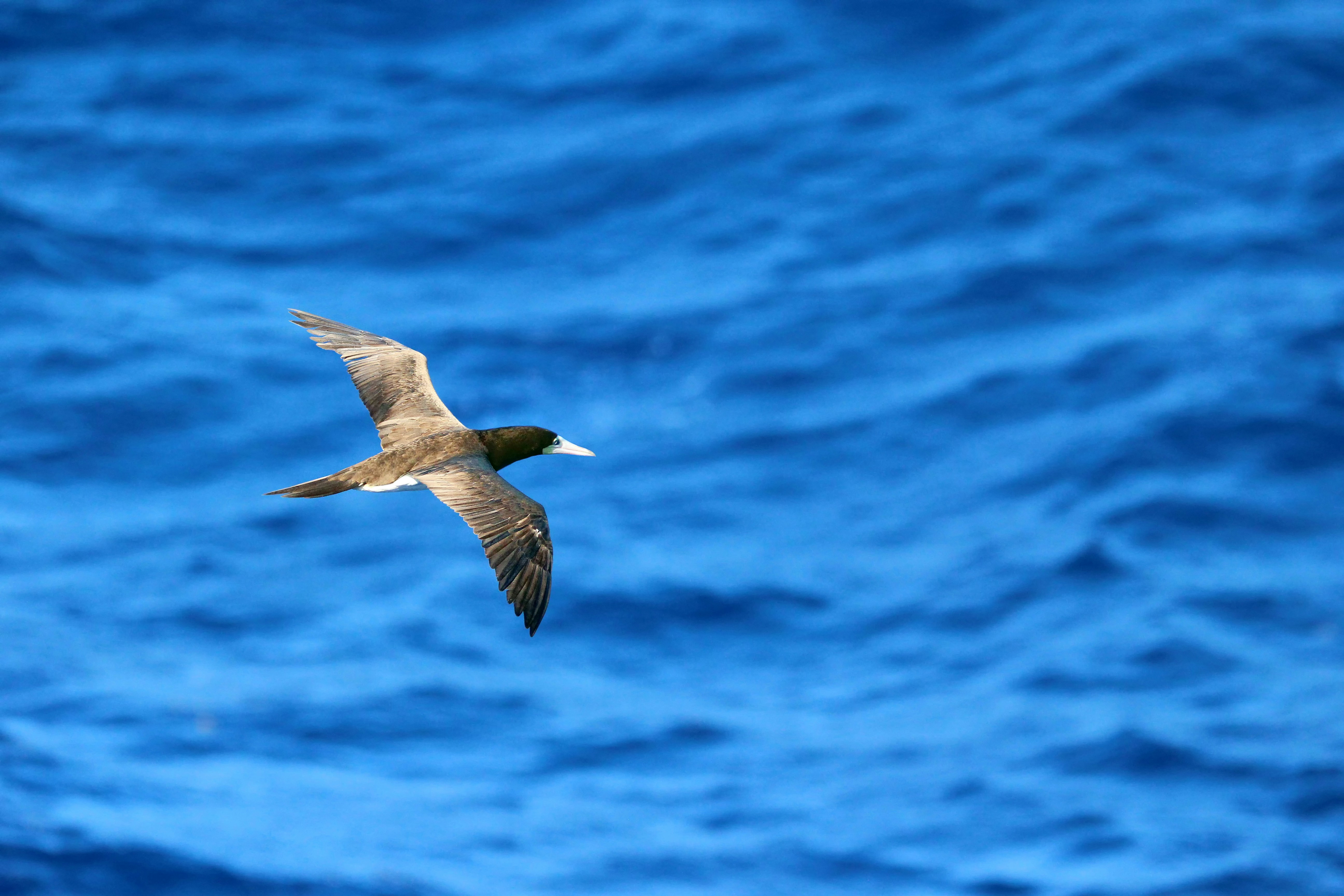 Photo by colemarshall