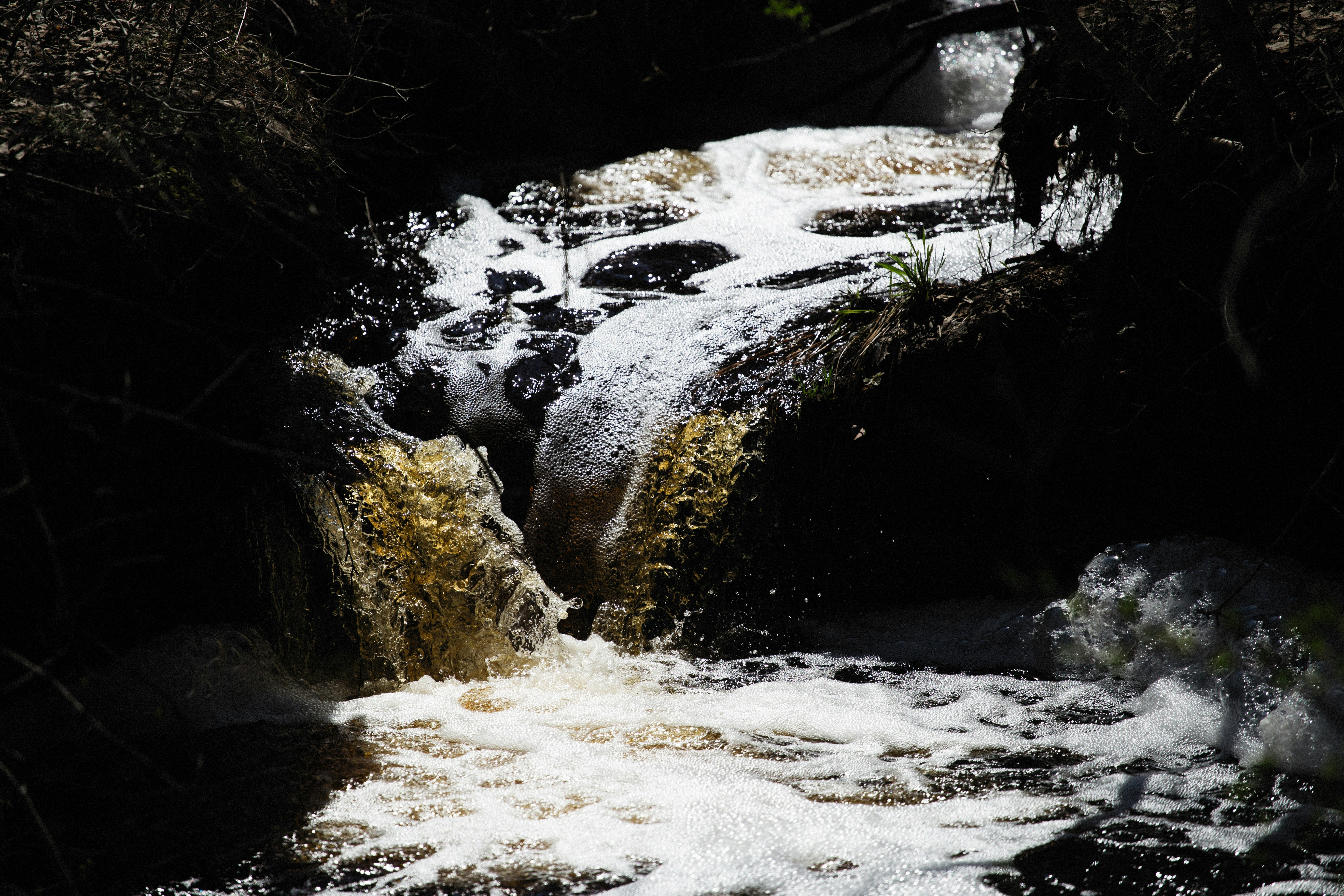 Photo by alexeydemidov