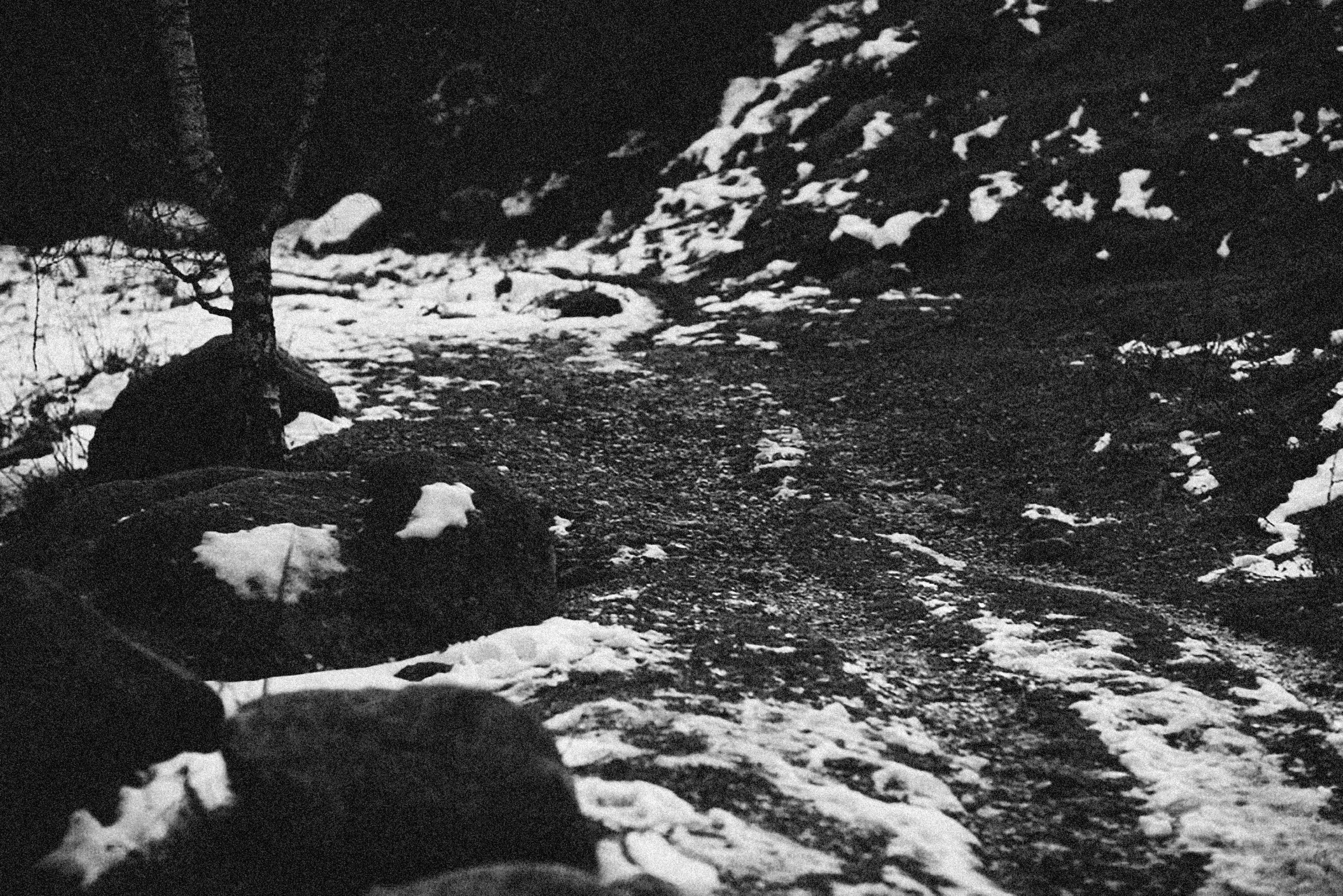 Photo by alexeydemidov