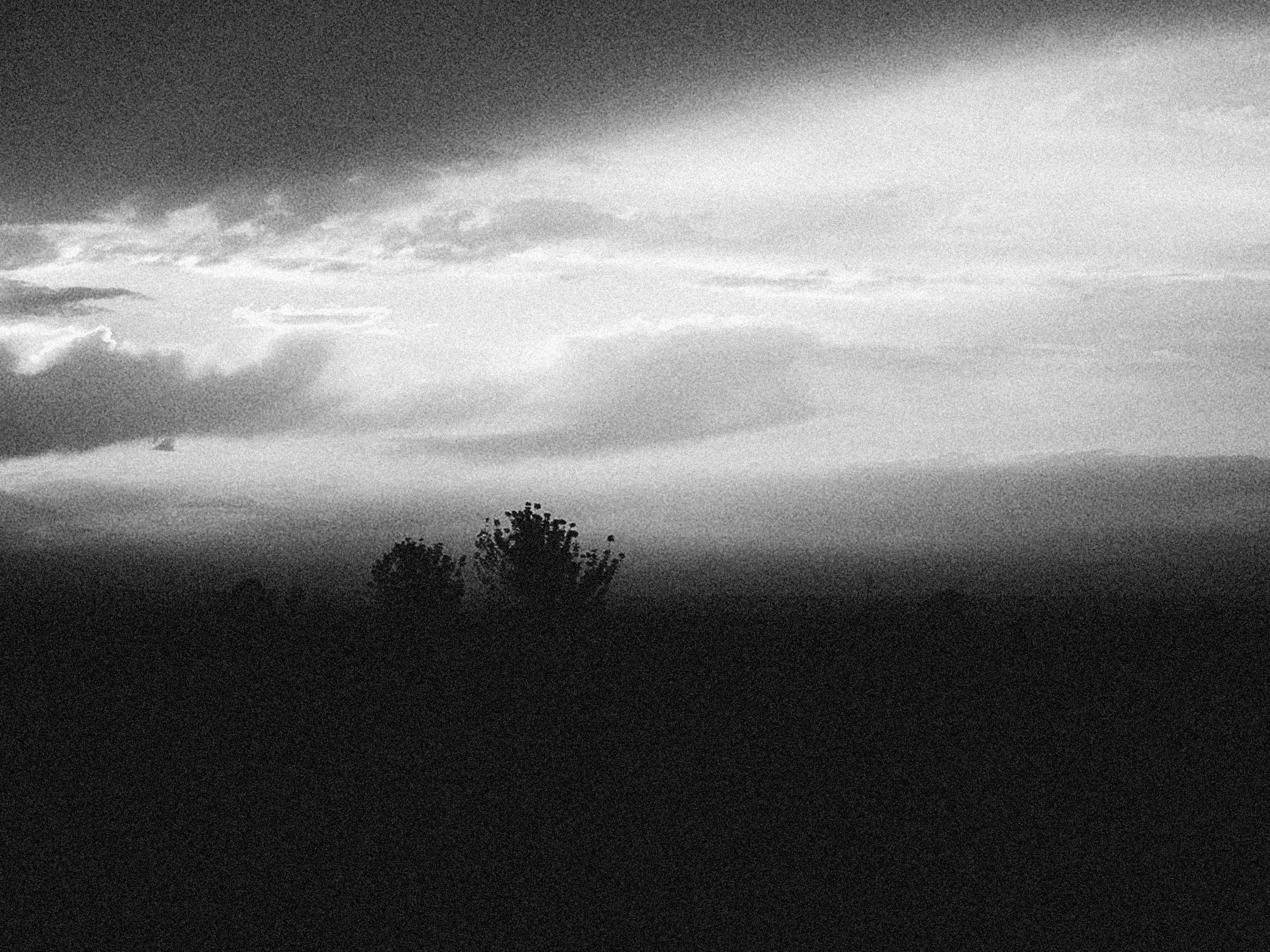 Photo by alexeydemidov