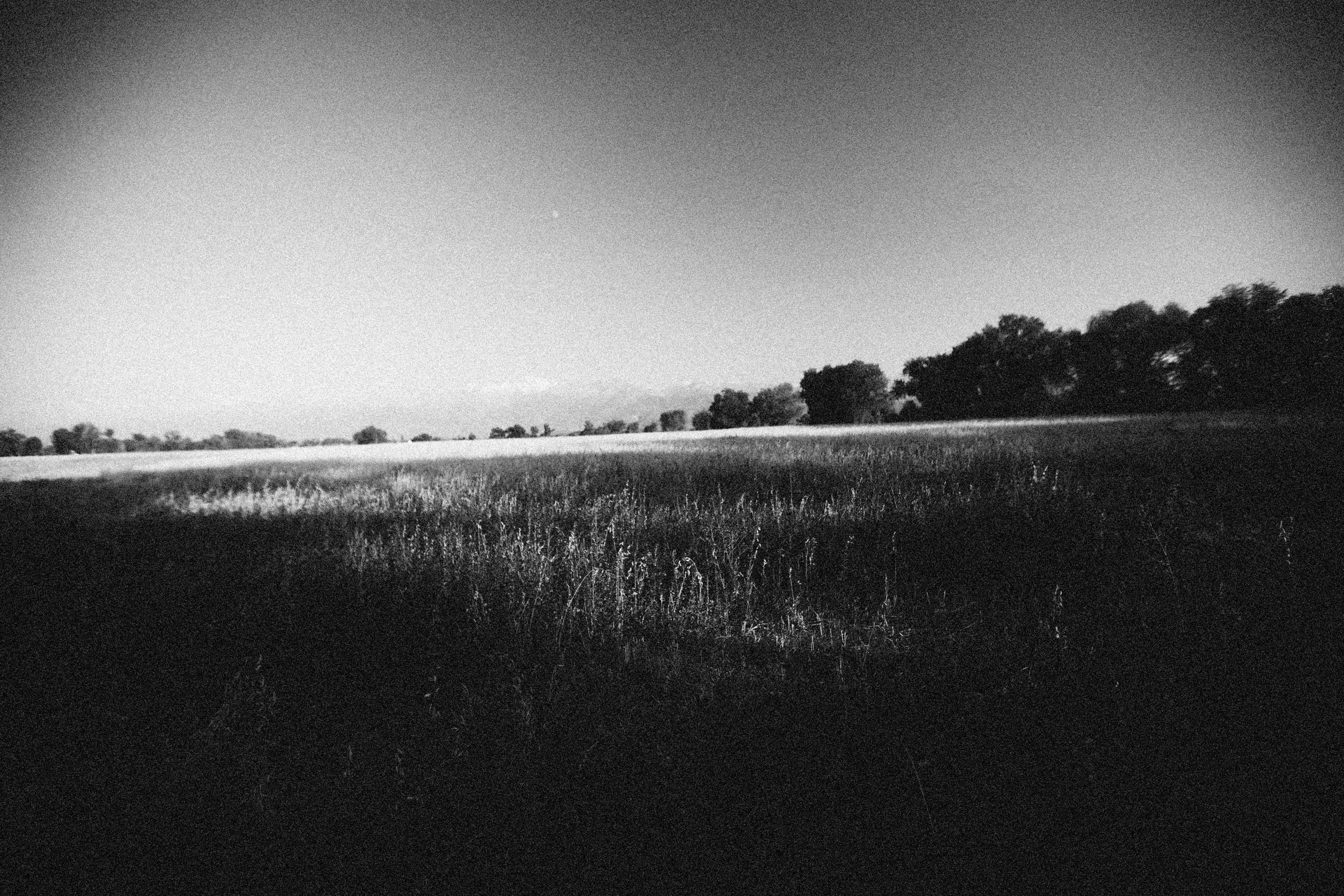 Photo by alexeydemidov