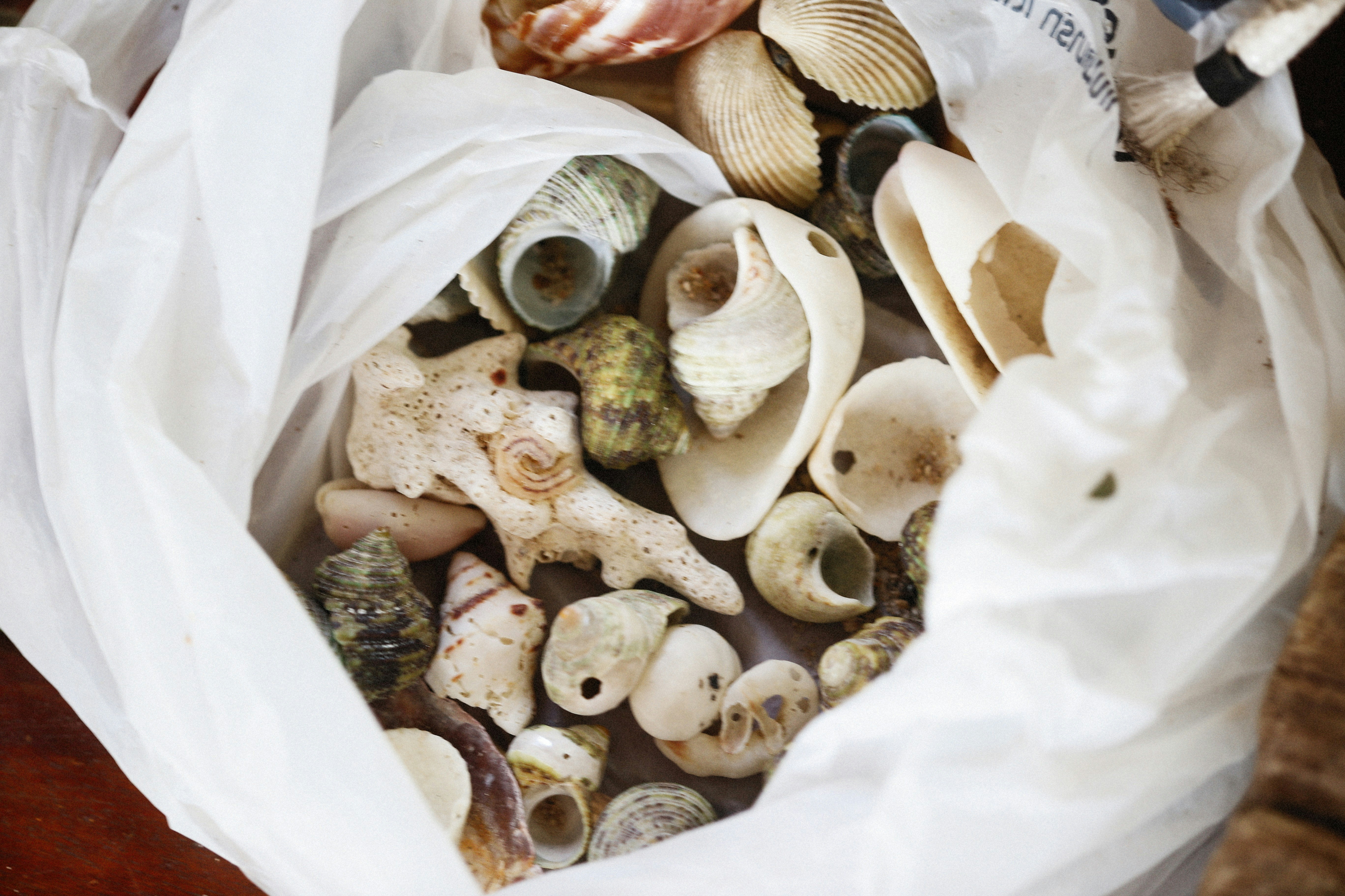 Photo by alexeydemidov