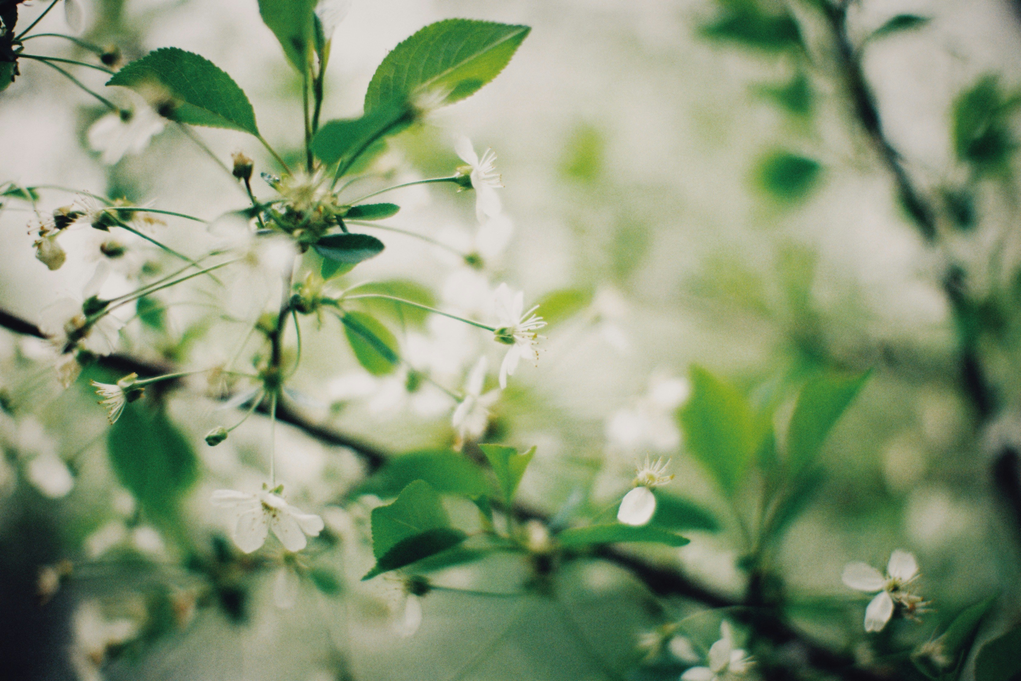 Photo by alexeydemidov