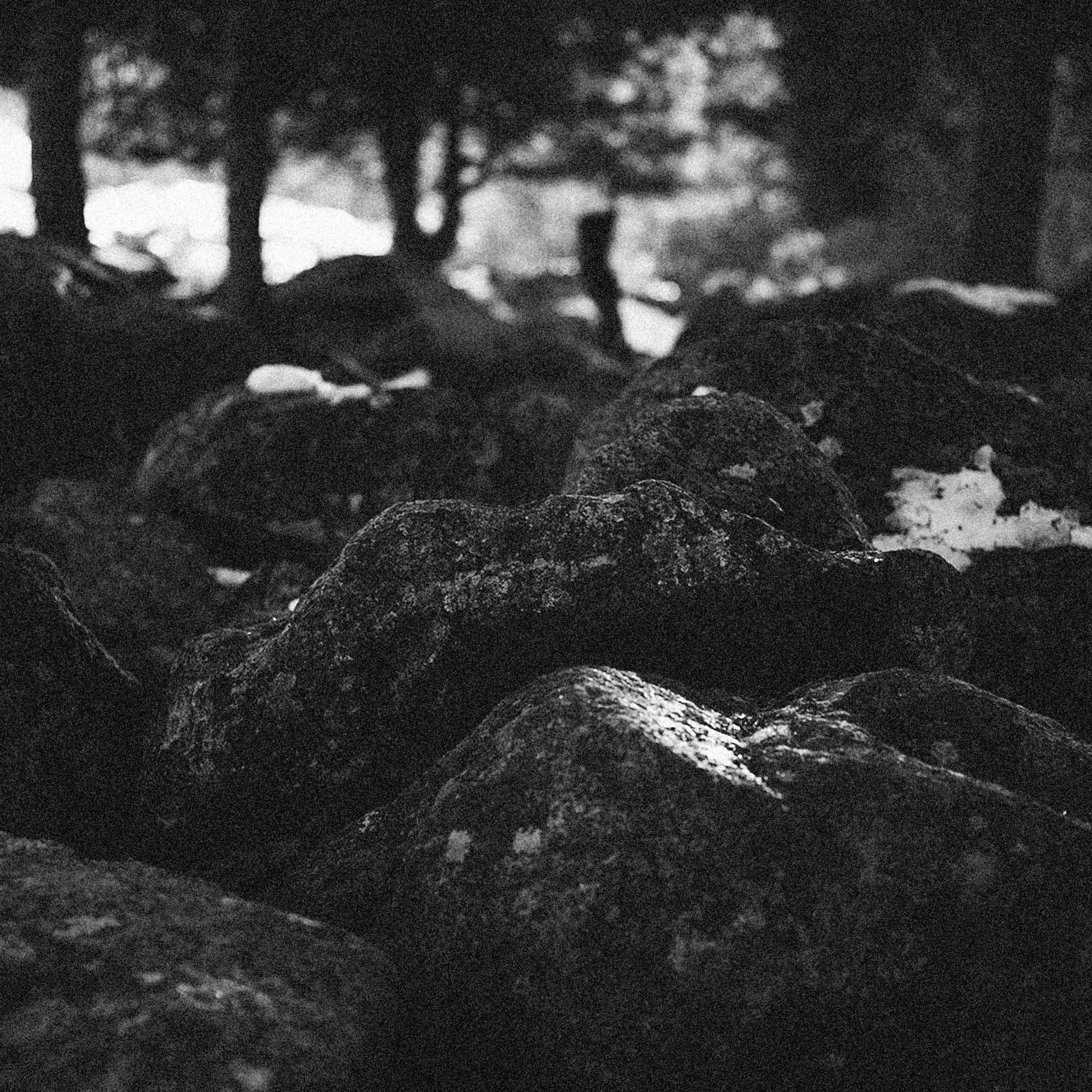 Photo by alexeydemidov