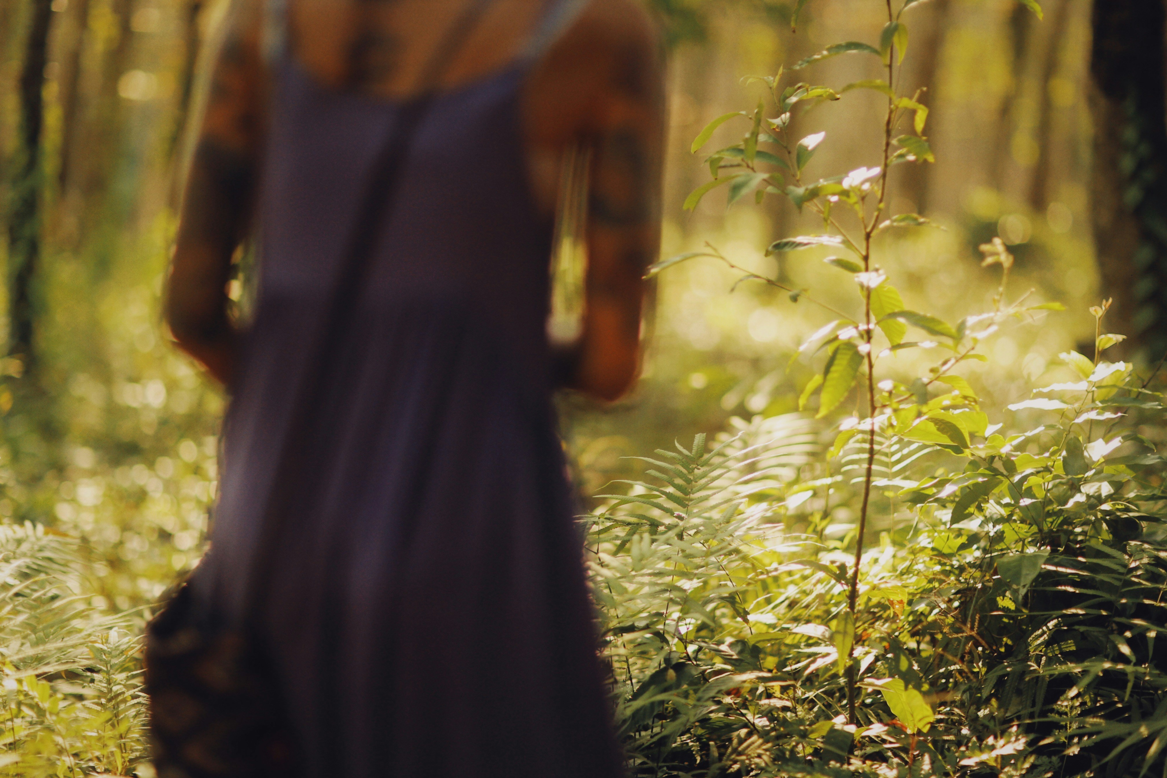 Photo by alexeydemidov