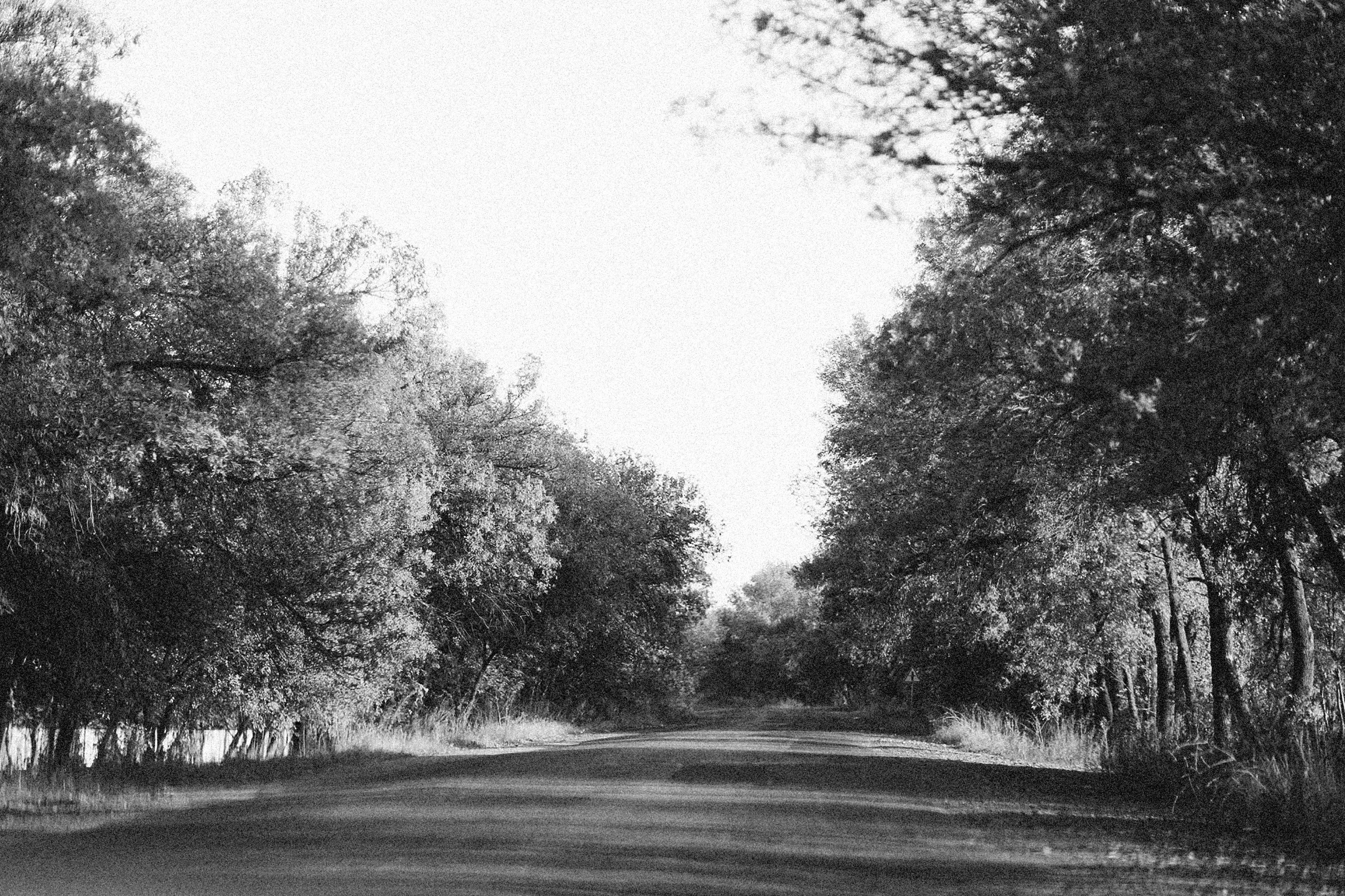 Photo by alexeydemidov