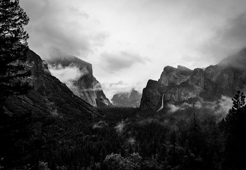 a black and white photo of mountains and trees