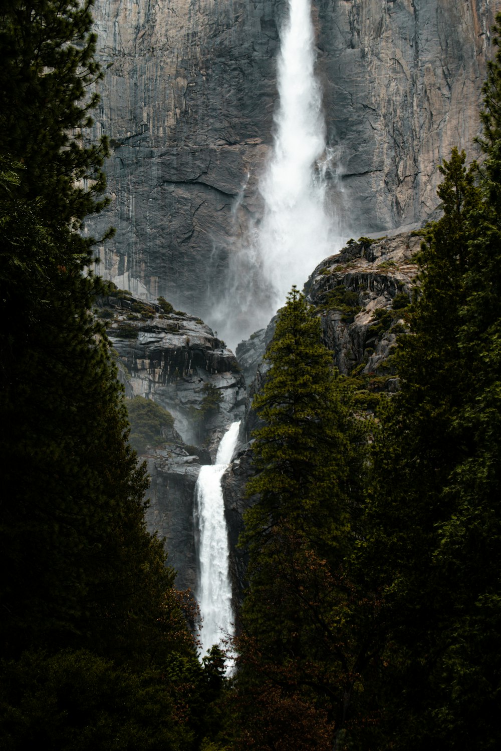 a tall waterfall surrounded by trees in a forest