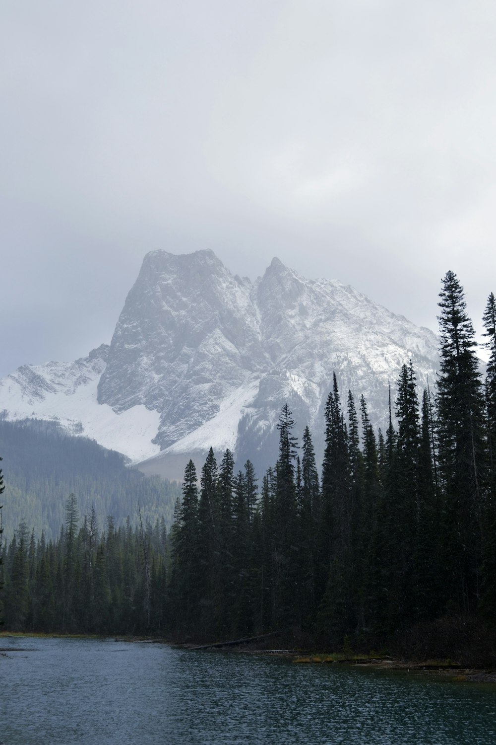 a snow covered mountain towering over a forest