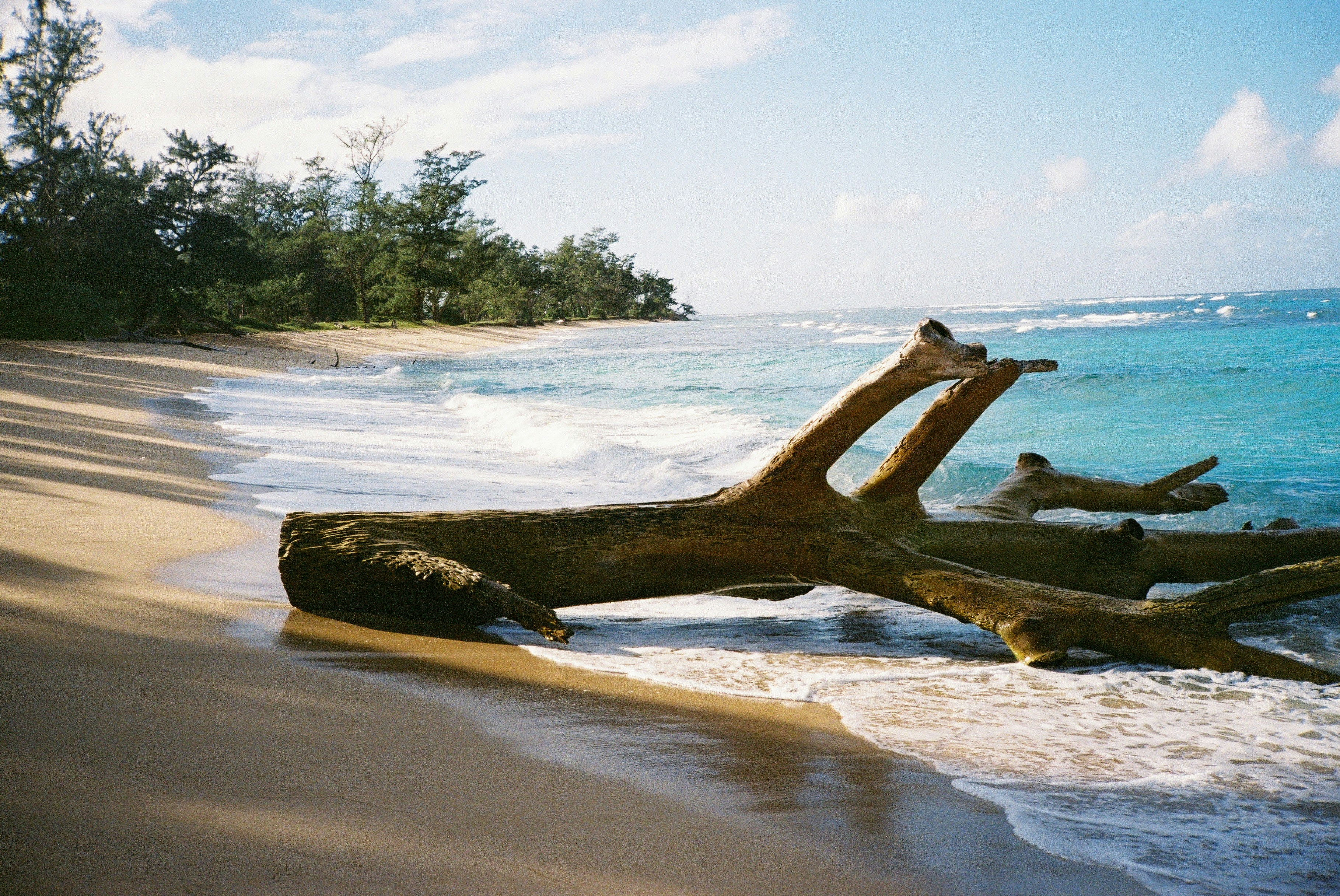 Photo by alexandraellis