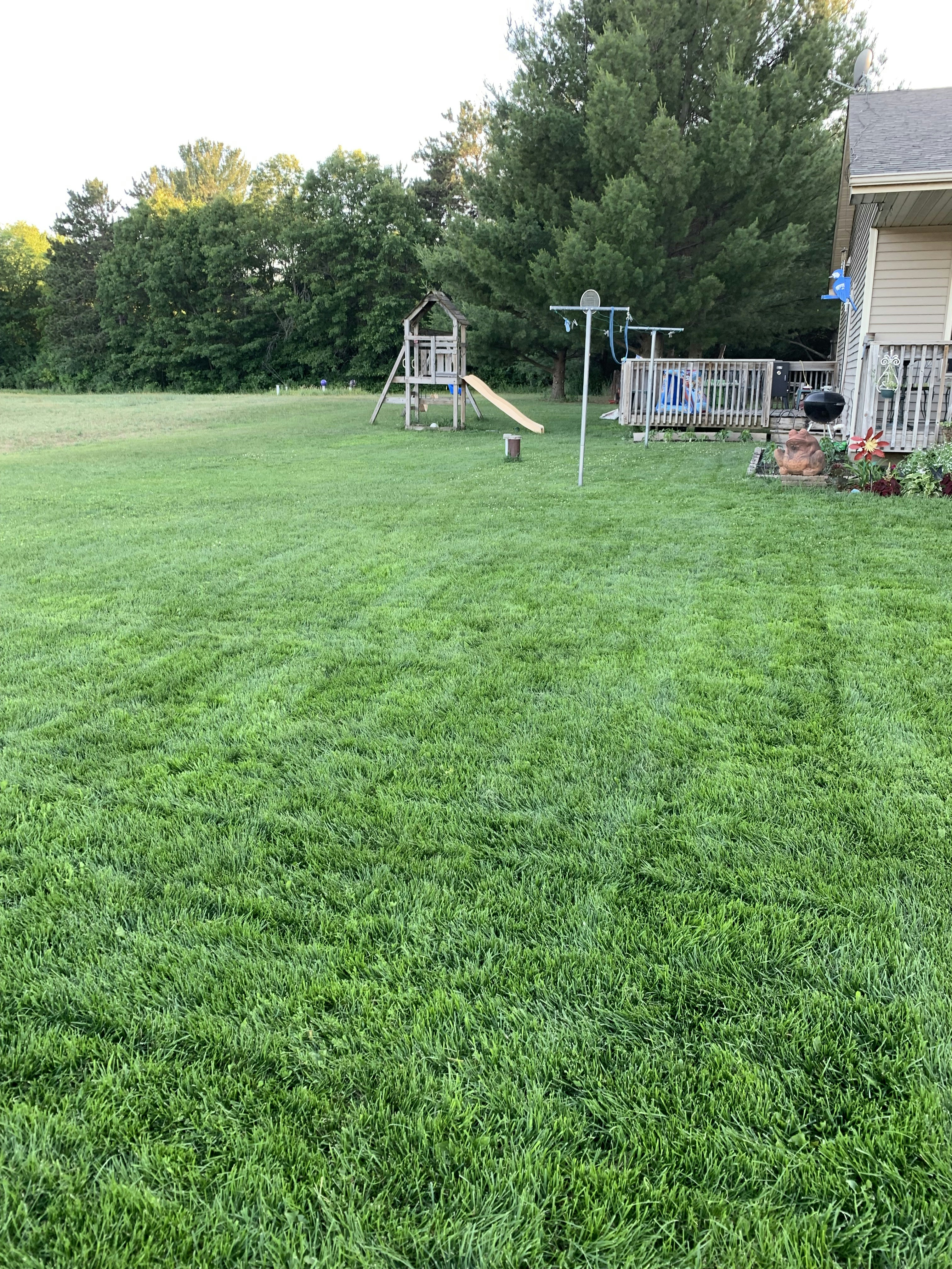 Eco-Friendly Artificial Grass