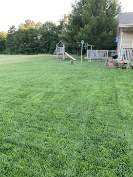 A well-maintained lawn with vibrant green grass stretches across the image. To the right, there is a wooden playground set with a slide, accompanied by a large tree and some outdoor furniture on a deck. Various trees line the horizon, providing a natural backdrop.