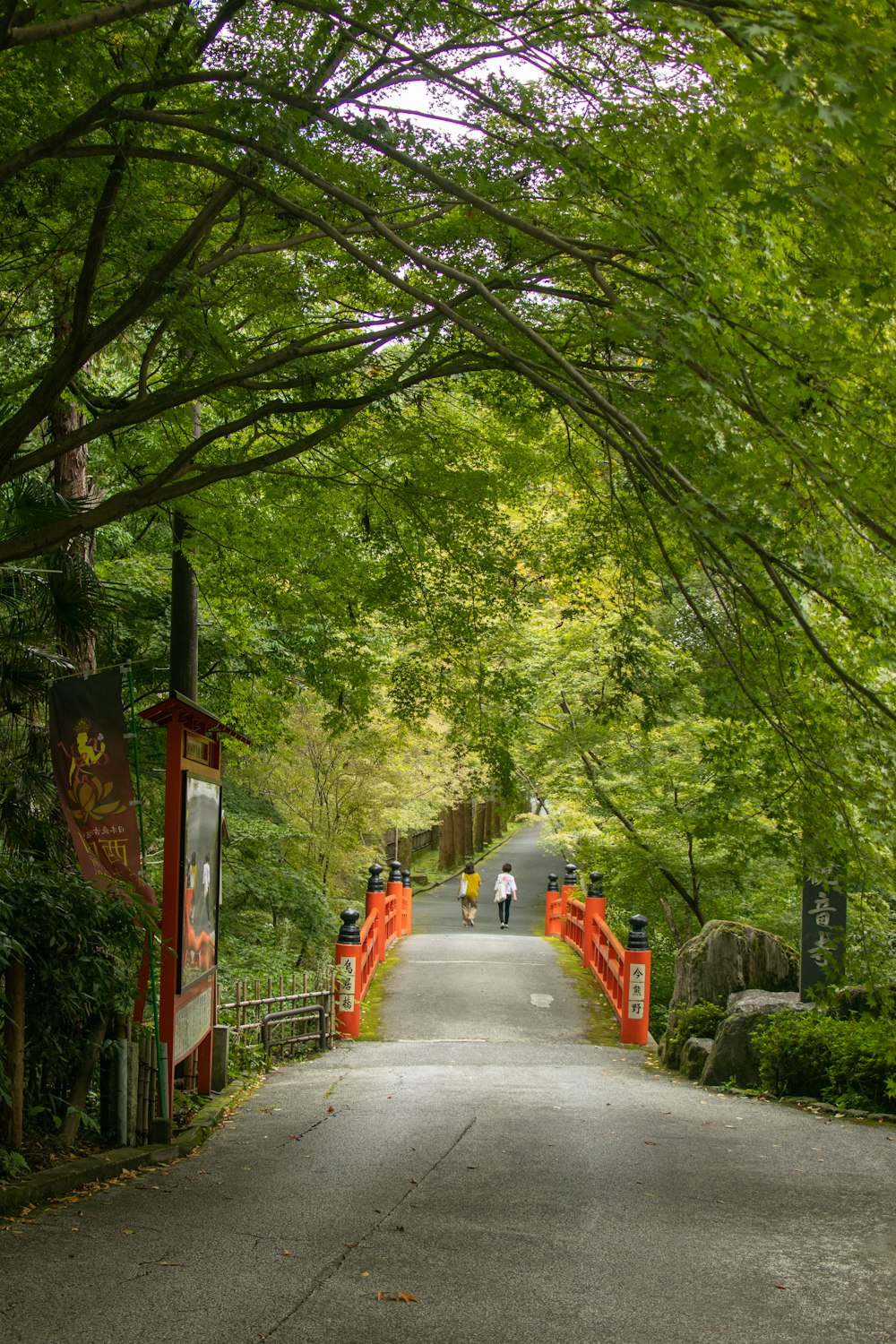 a couple of people are walking down a path